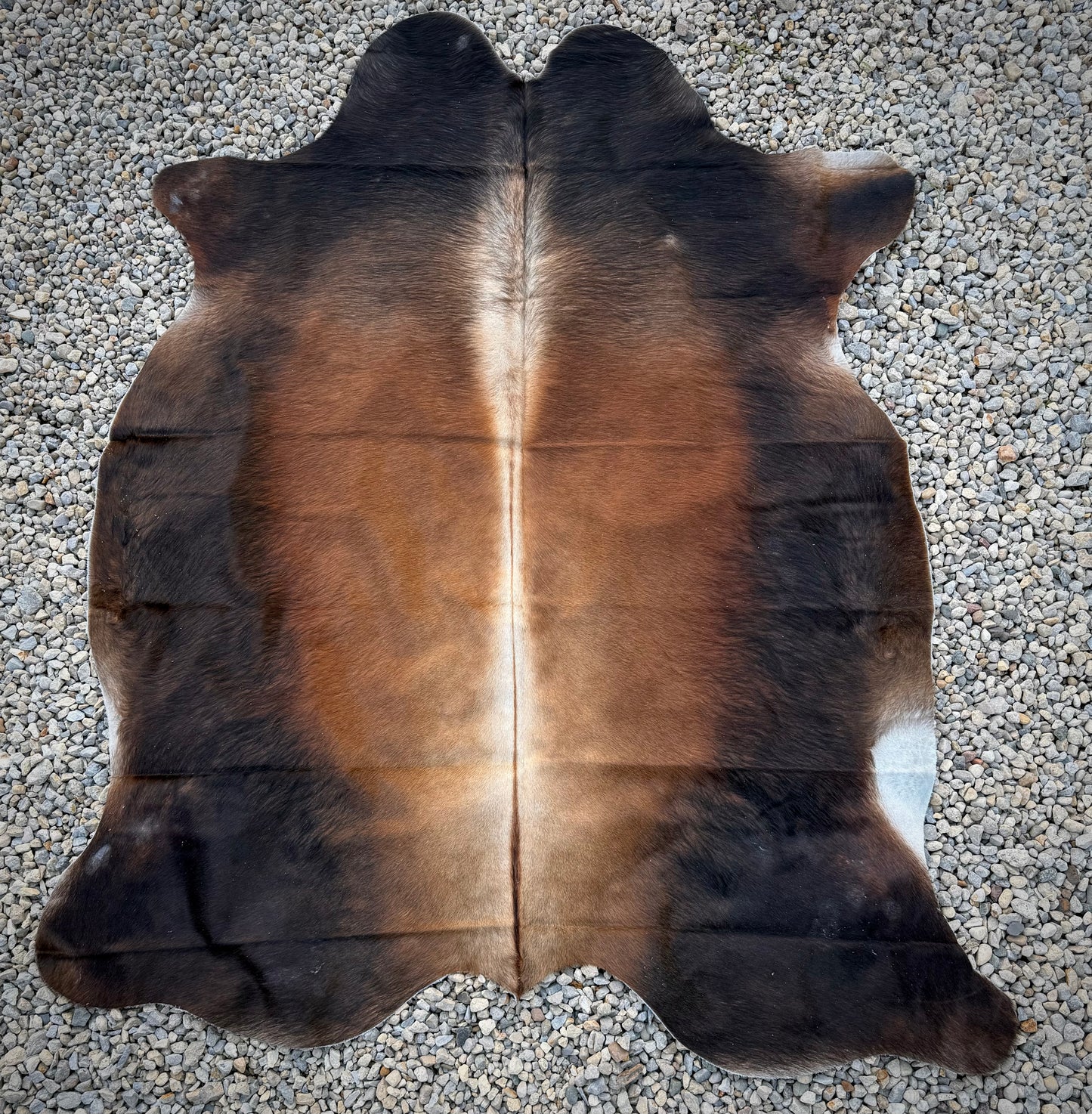 Jumbo Genuine Brown Cowhide Rug #7