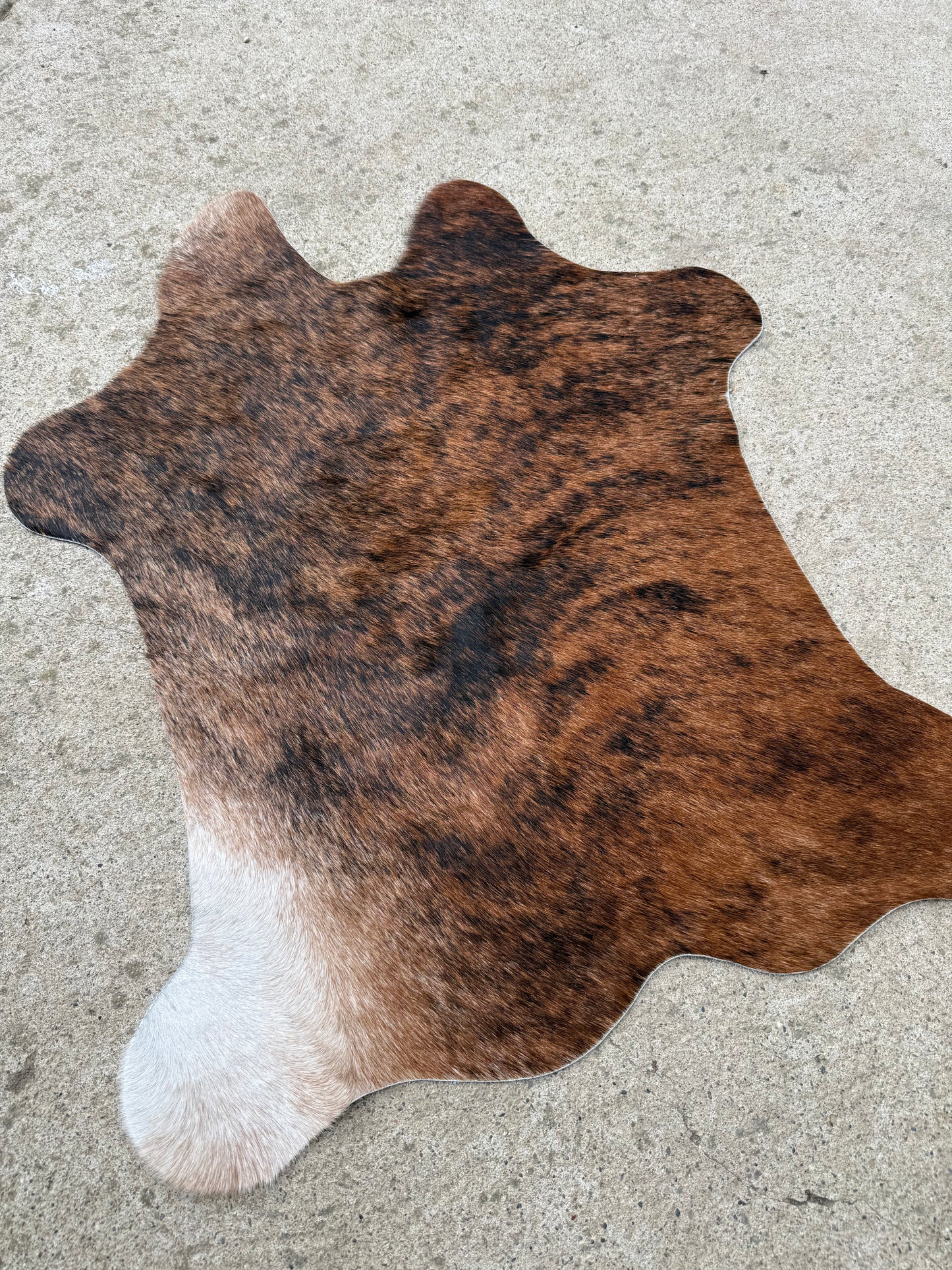 Brown Brindle Genuine Cowhide Rug Approx. 2 ft