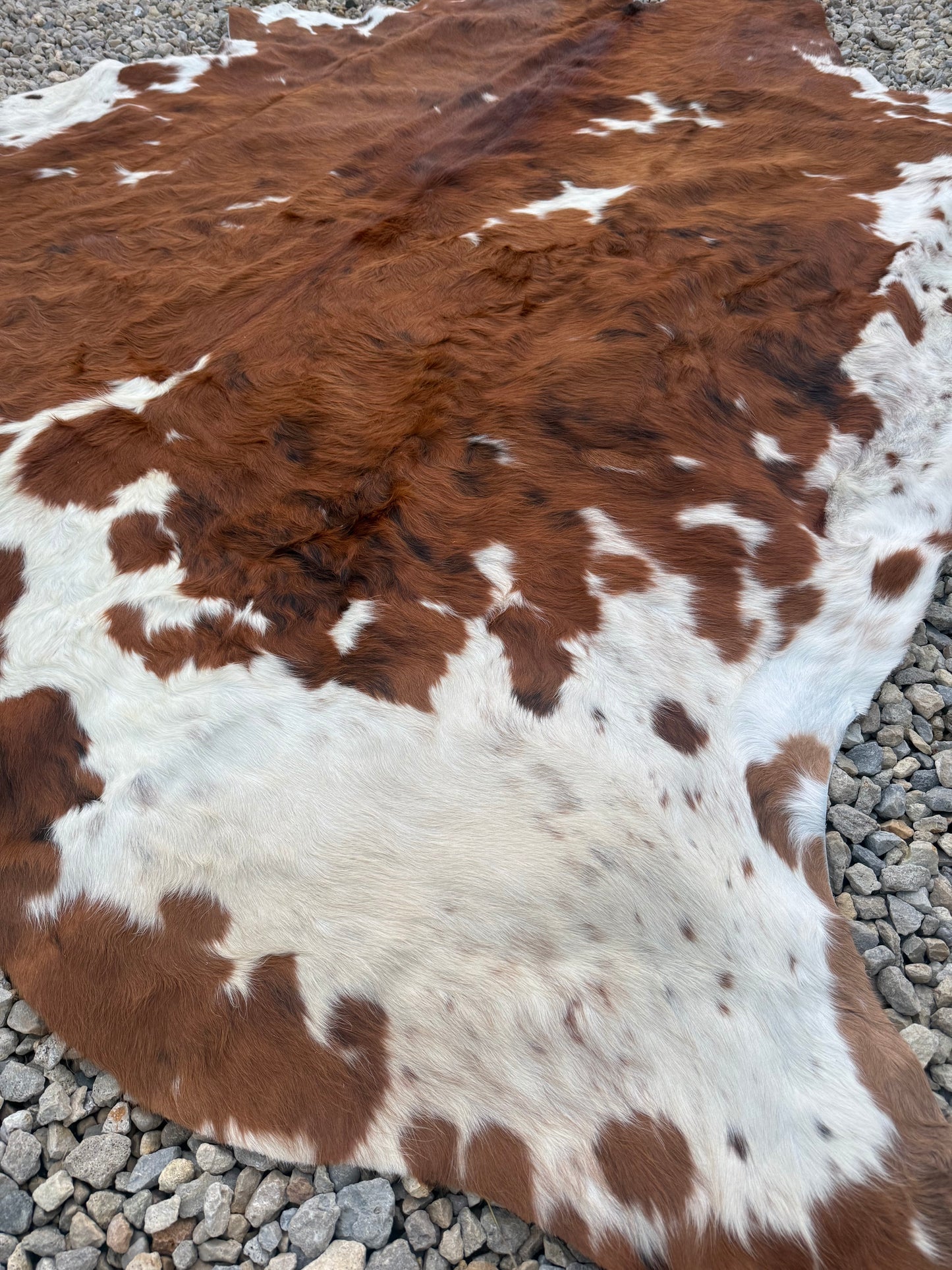 Jumbo Tri Color Brown Genuine Cowhide Rug #23