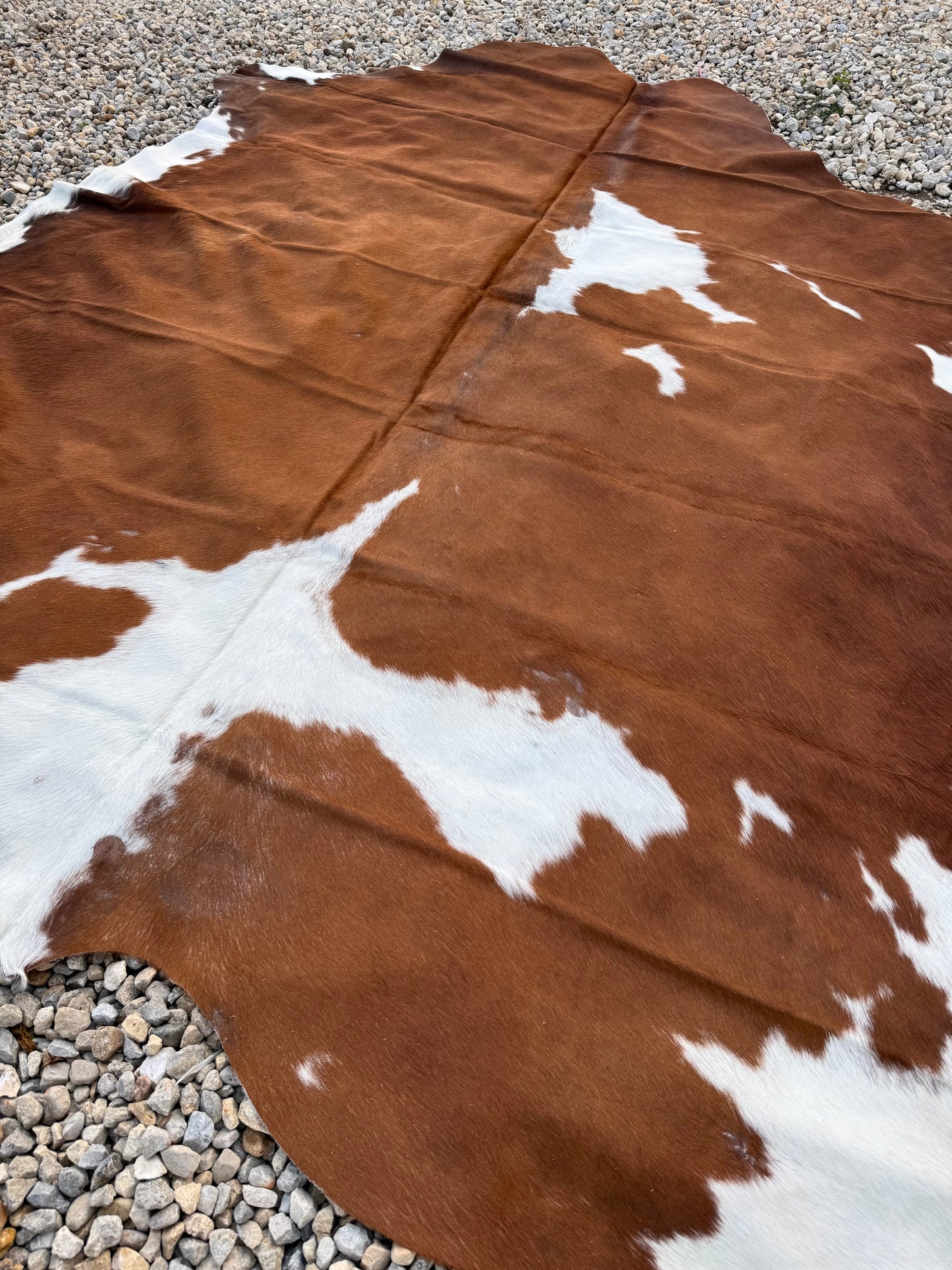 Jumbo Genuine Brown Cowhide Rug #8