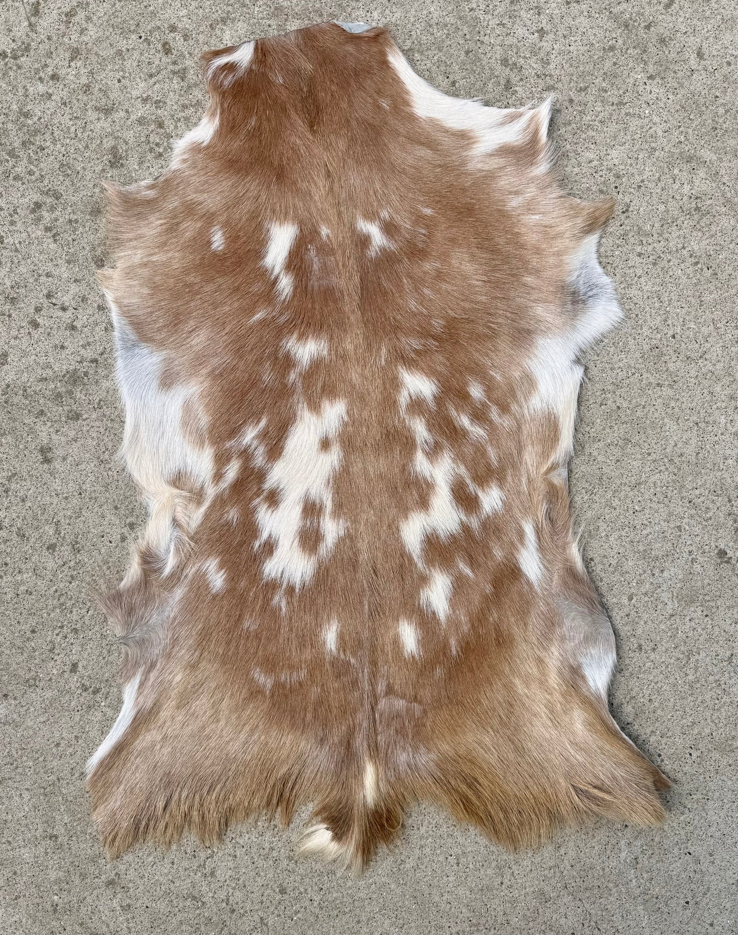 Genuine Goat Hide