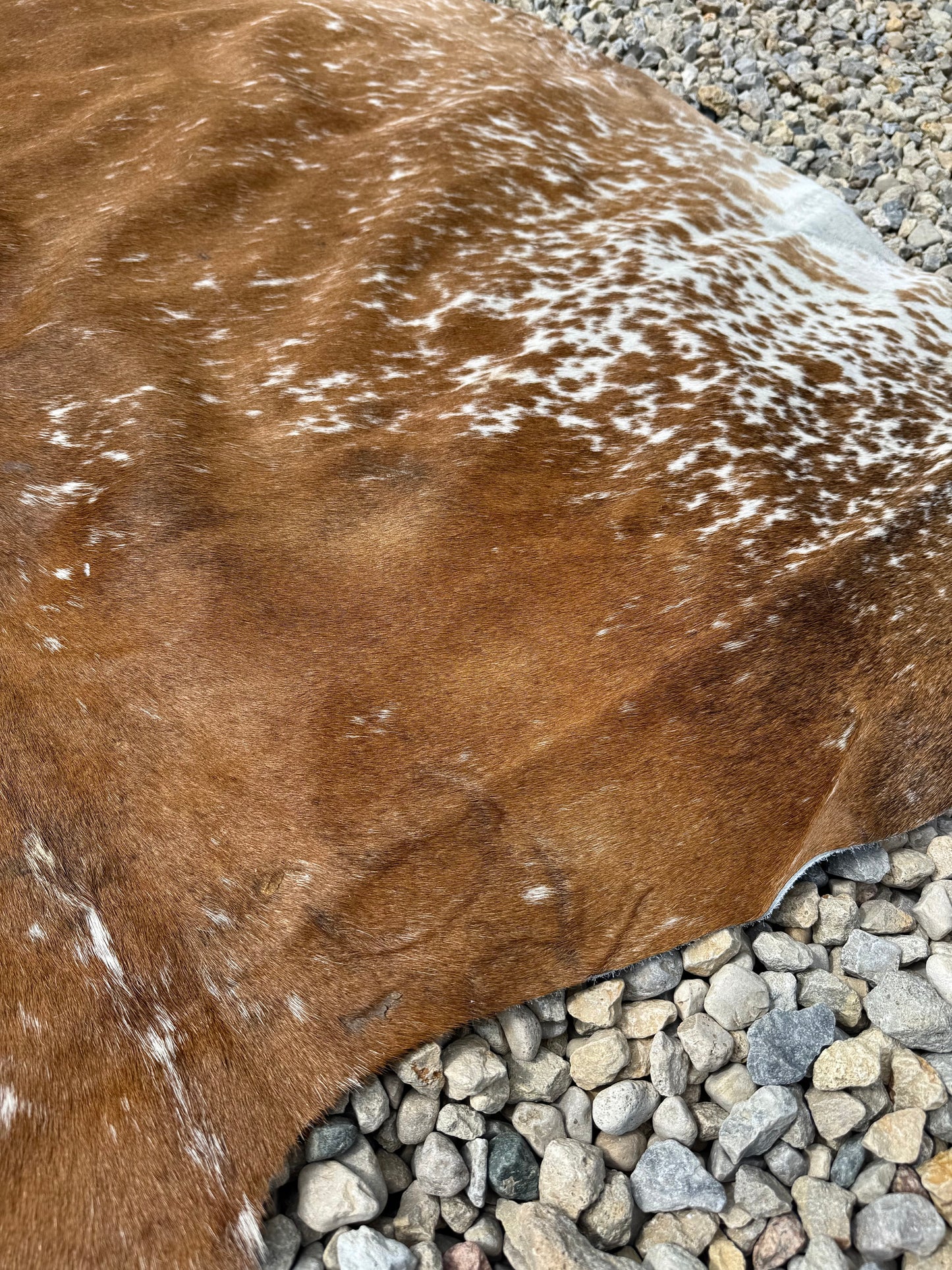 Jumbo Light Brown Spotted Genuine Cowhide Rug #14