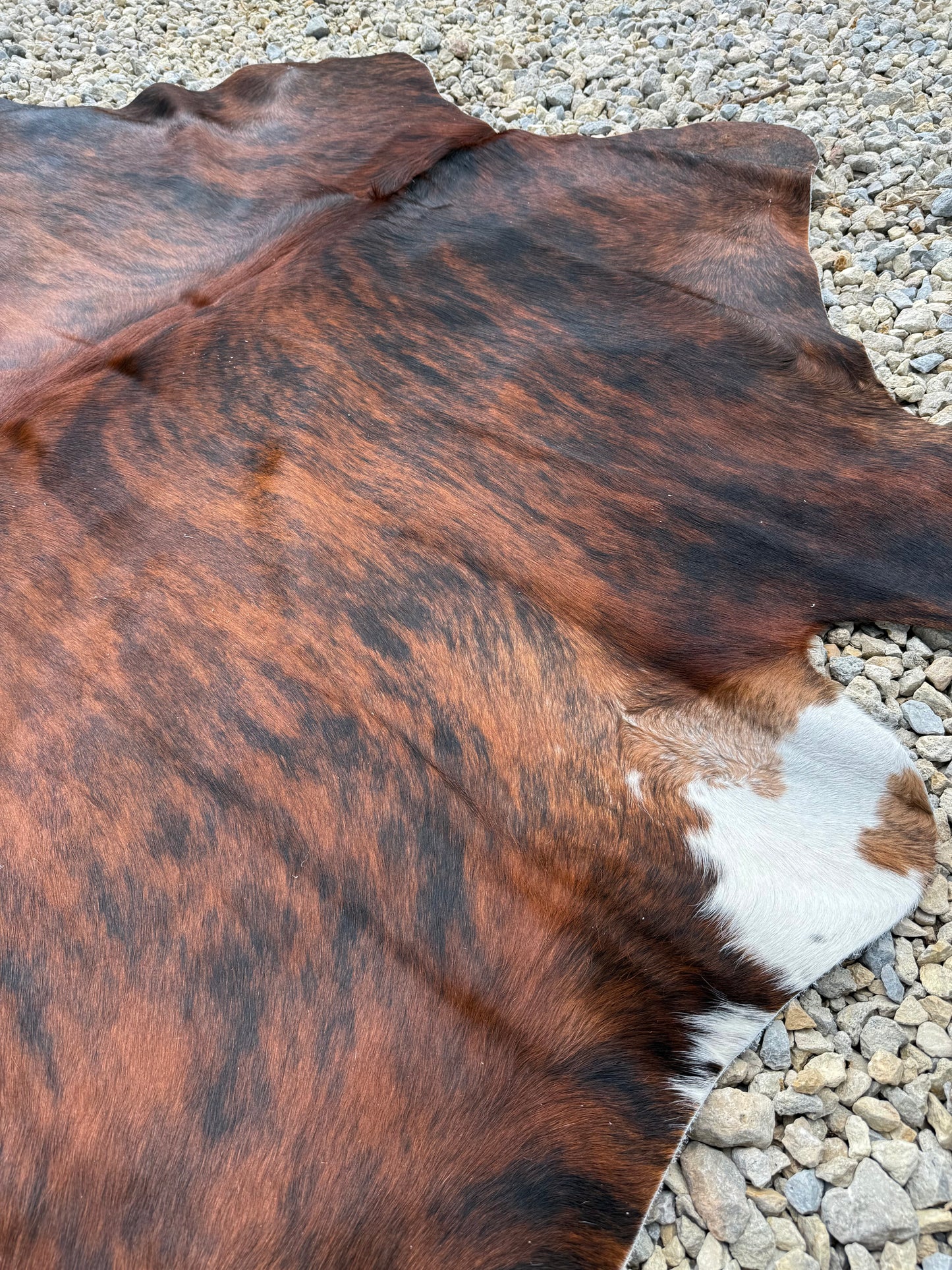 Jumbo Brown Brindle Genuine Cowhide Rug #18