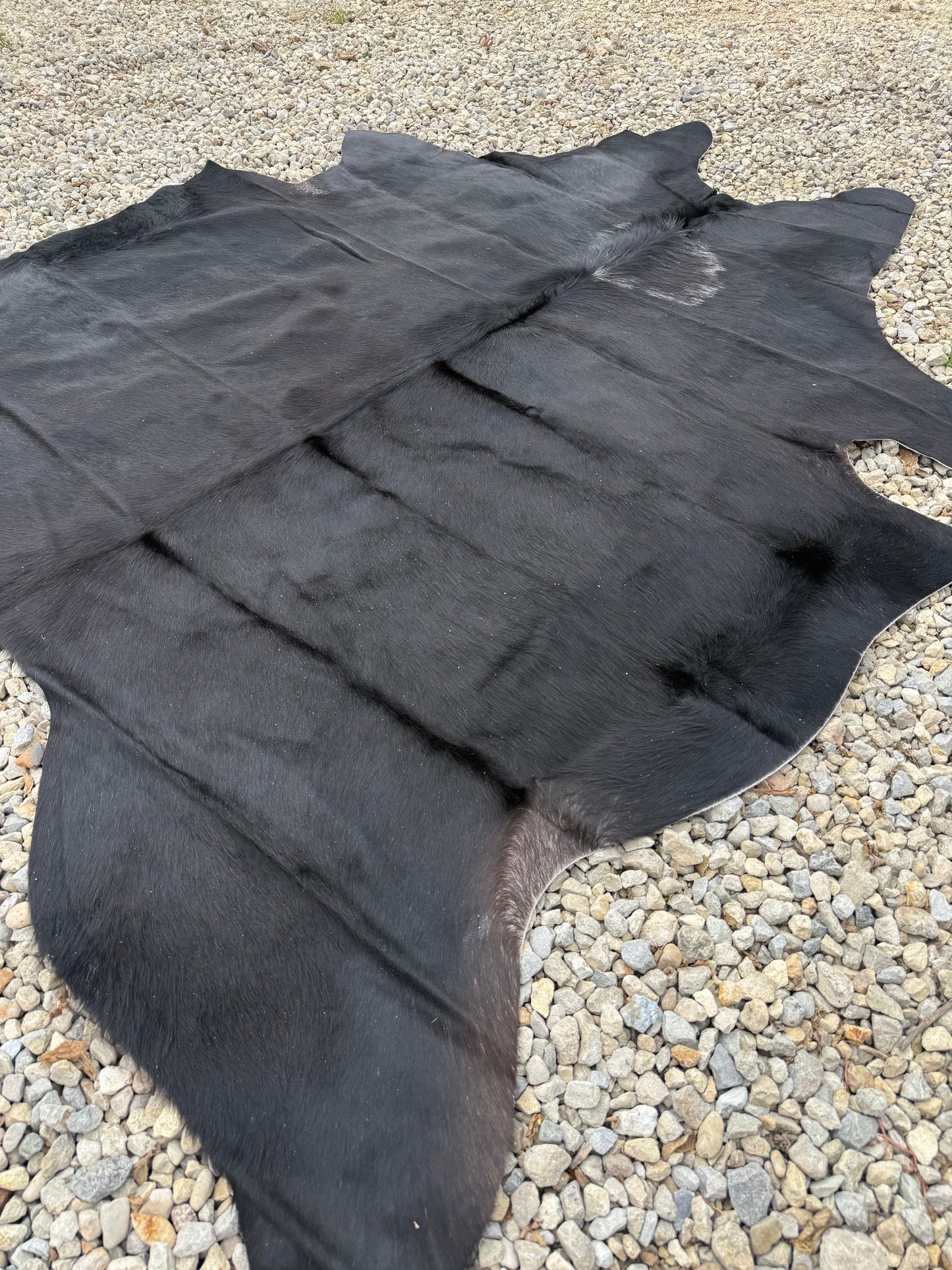 Black / Dark Brown With Spot Spot Genuine Jumbo Cowhide Rug #32