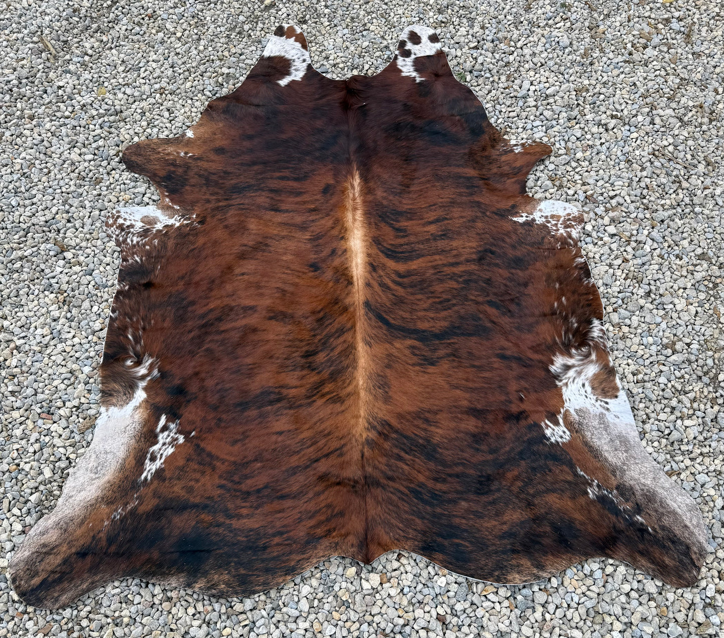 Tri-Color Spotted Genuine Jumbo Cowhide Rug #34