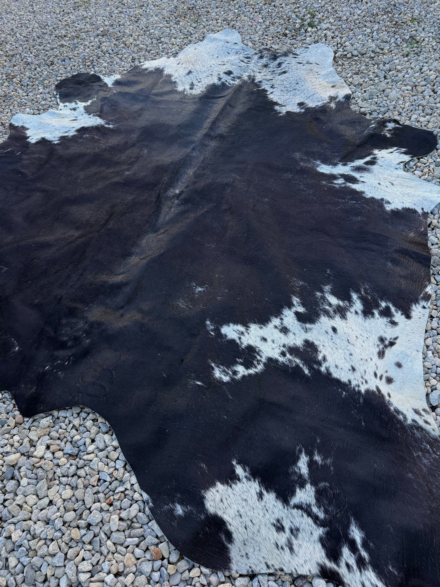 Jumbo Genuine Brown Cowhide Rug #11