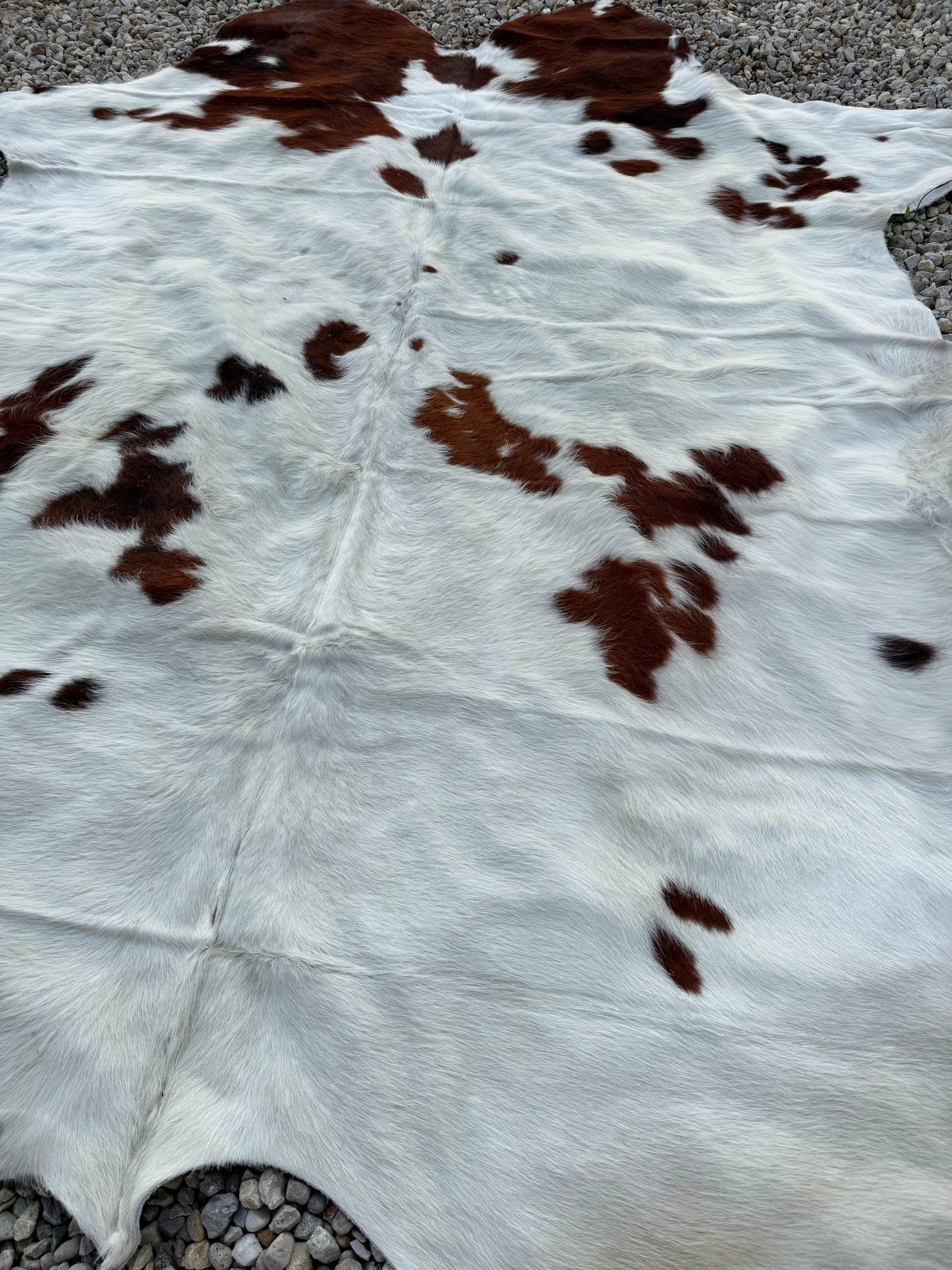 Jumbo Genuine Brown Cowhide Rug #6