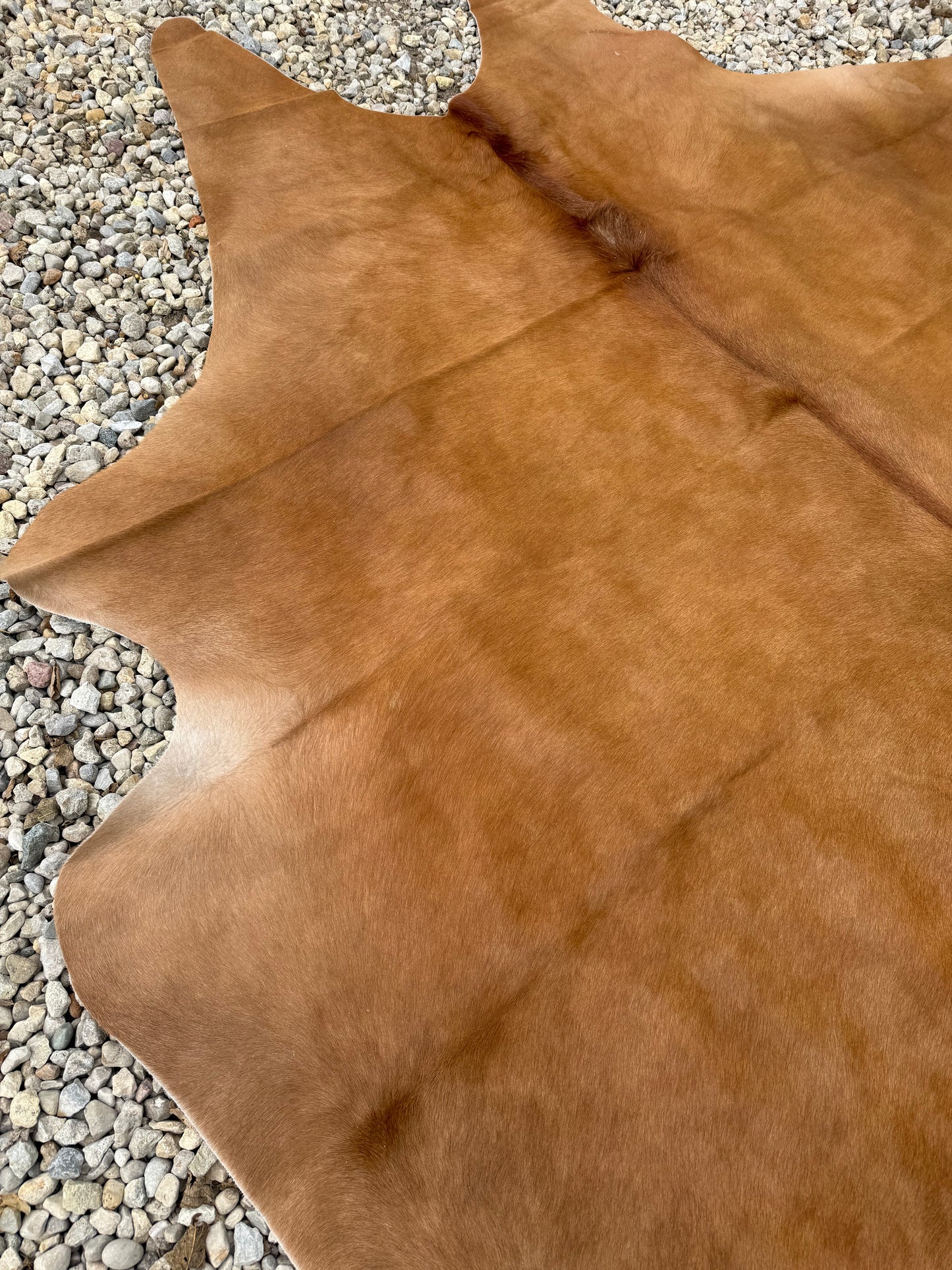 Light Brown Genuine Jumbo Cowhide Rug #30