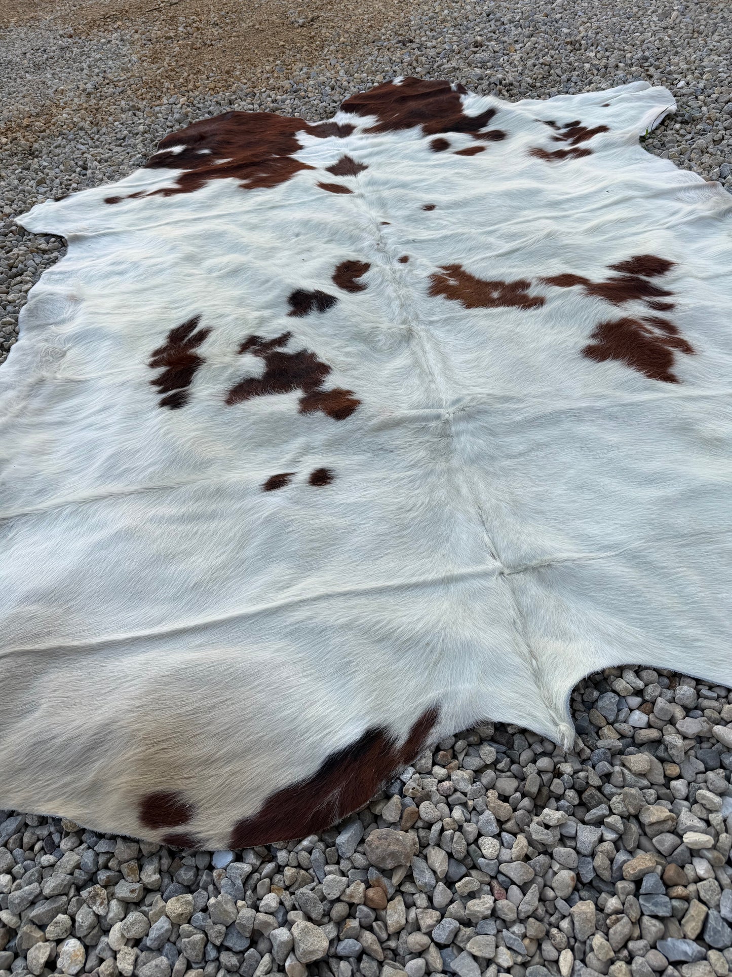 Jumbo Genuine Brown Cowhide Rug #6