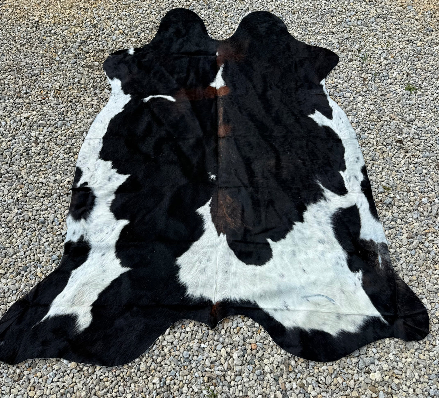 Jumbo Black White & Brown Spotted Genuine Cowhide Rug #17