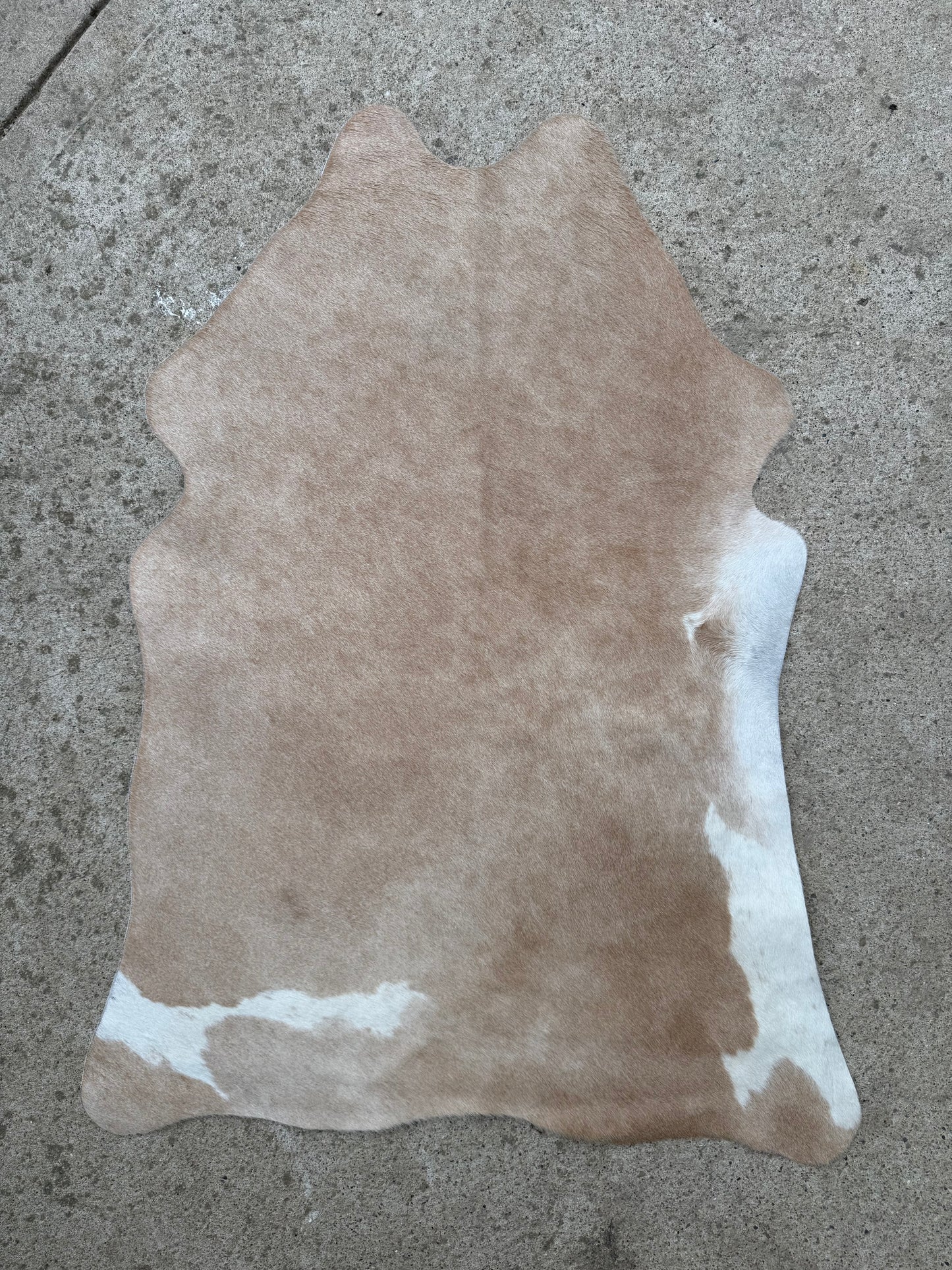 Light Brown Tan Genuine Cowhide Rug Approx. 3 ft