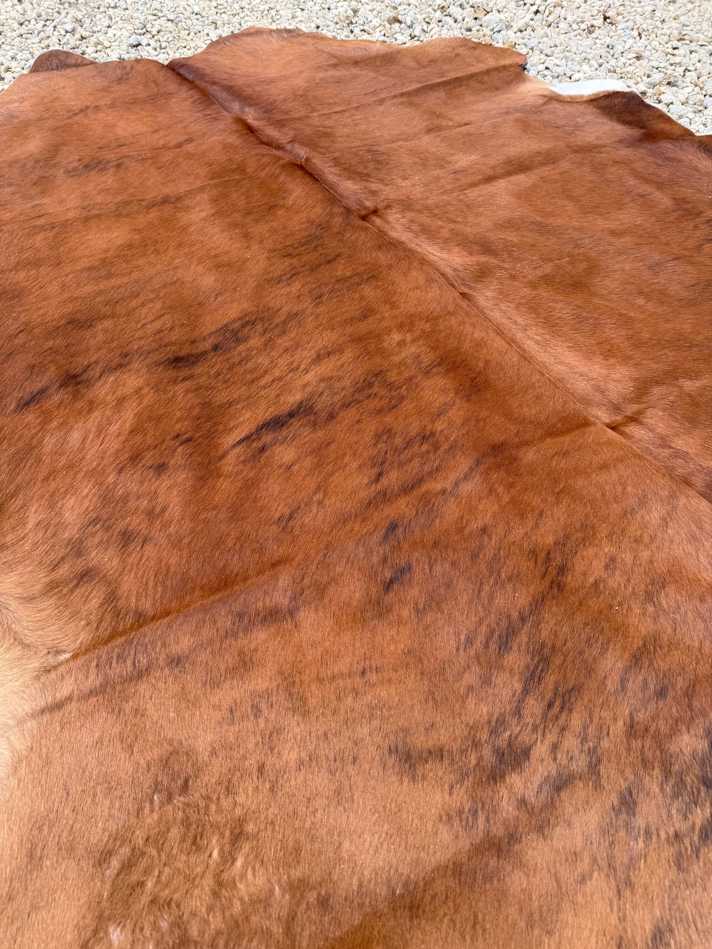 Light Brown Brindle Genuine Jumbo Cowhide Rug #29