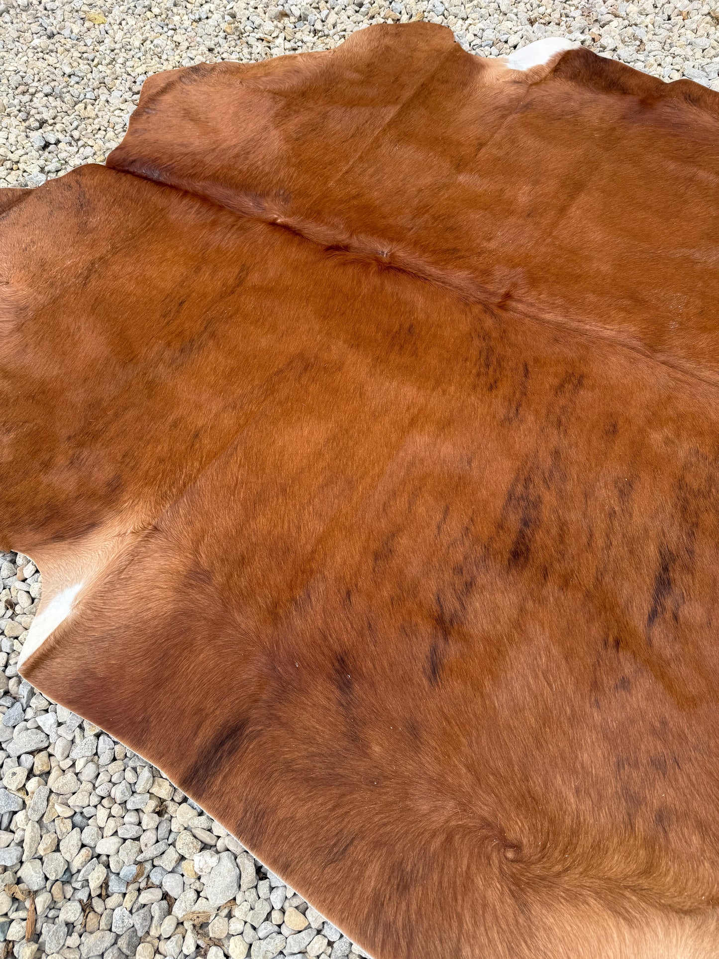 Light Brown Brindle Genuine Jumbo Cowhide Rug #29