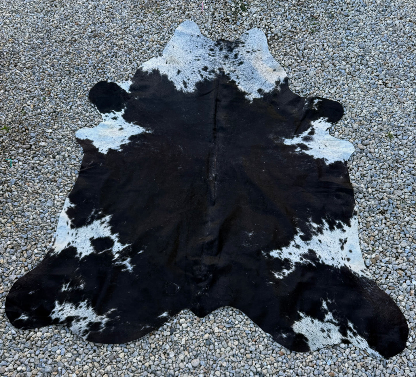 Jumbo Genuine Brown Cowhide Rug #11