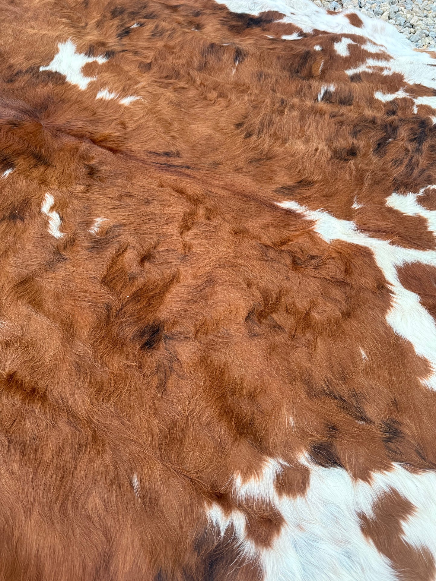 Jumbo Tri Color Brown Genuine Cowhide Rug #23