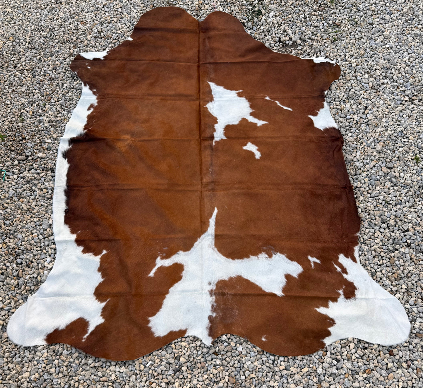 Jumbo Genuine Brown Cowhide Rug #8