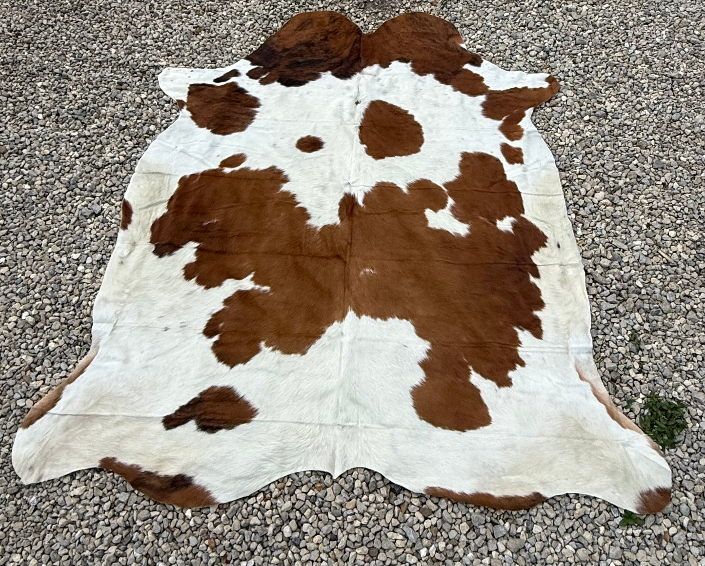 Jumbo Genuine Brown And White Cowhide Rug #1