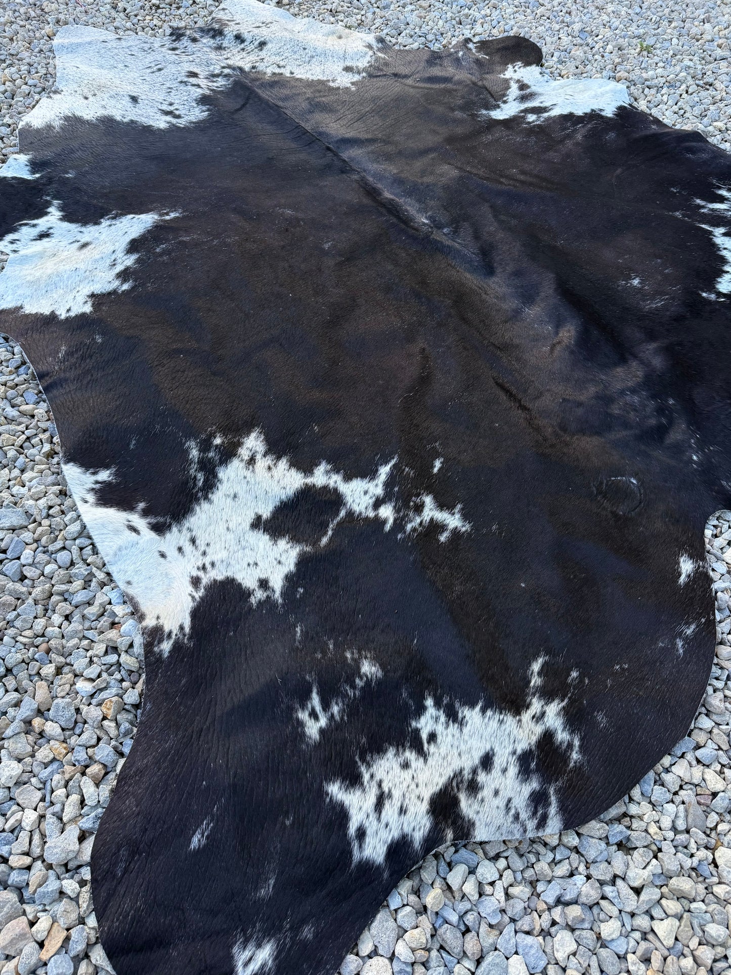 Jumbo Genuine Brown Cowhide Rug #11