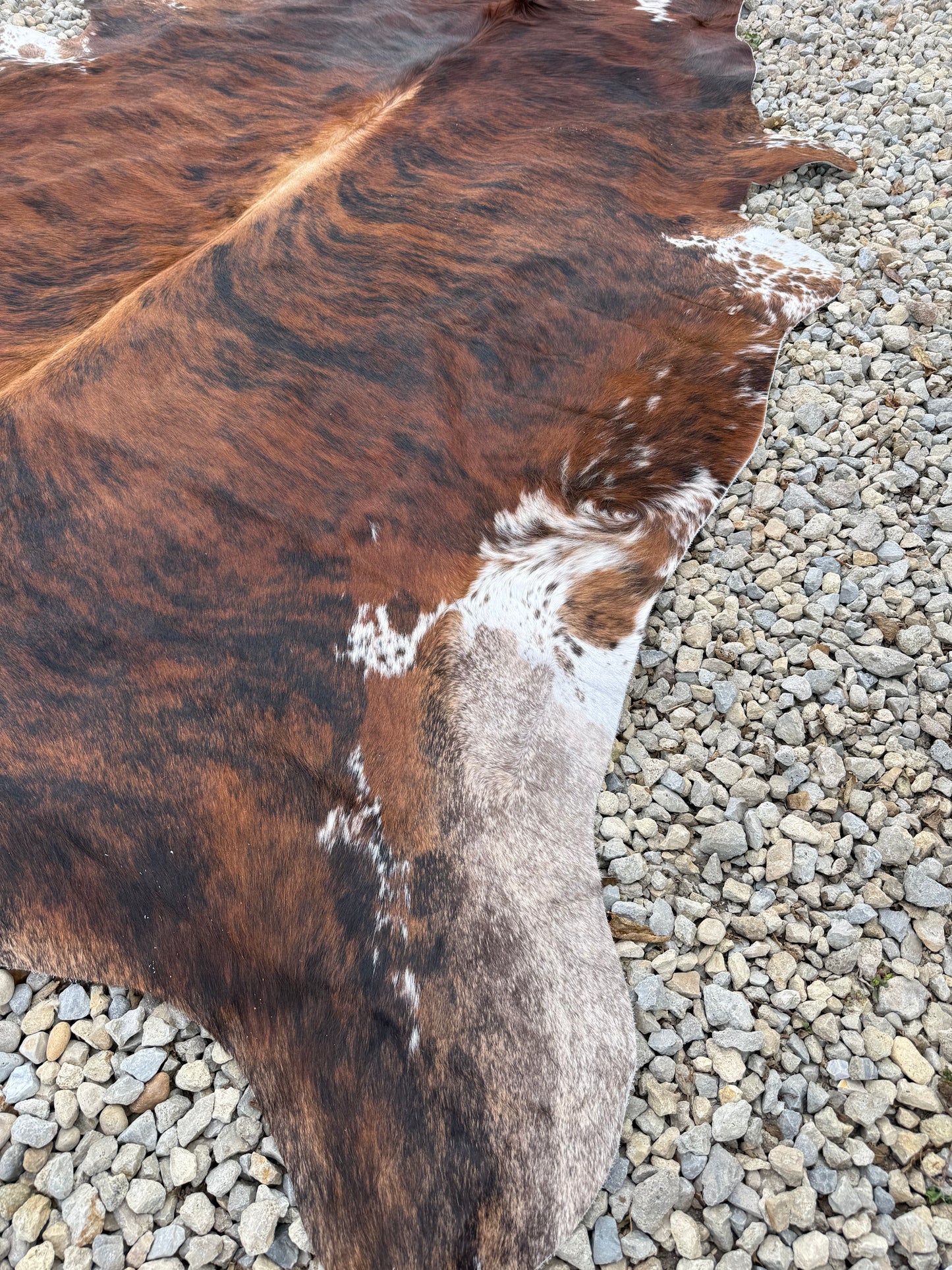 Tri-Color Spotted Genuine Jumbo Cowhide Rug #34