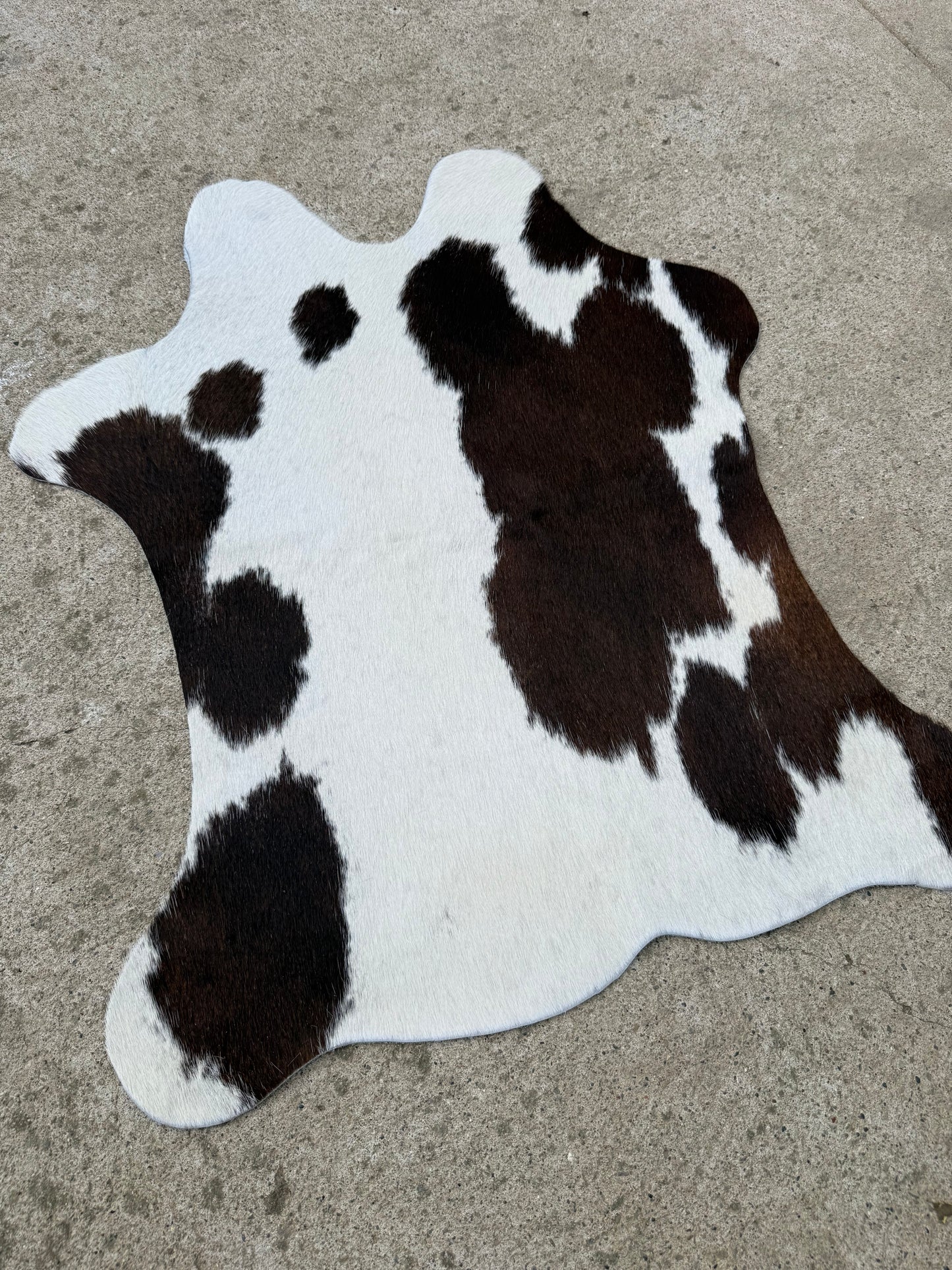 Black & White a Little Brown Spotted Genuine Cowhide Rug Approx. 2 ft