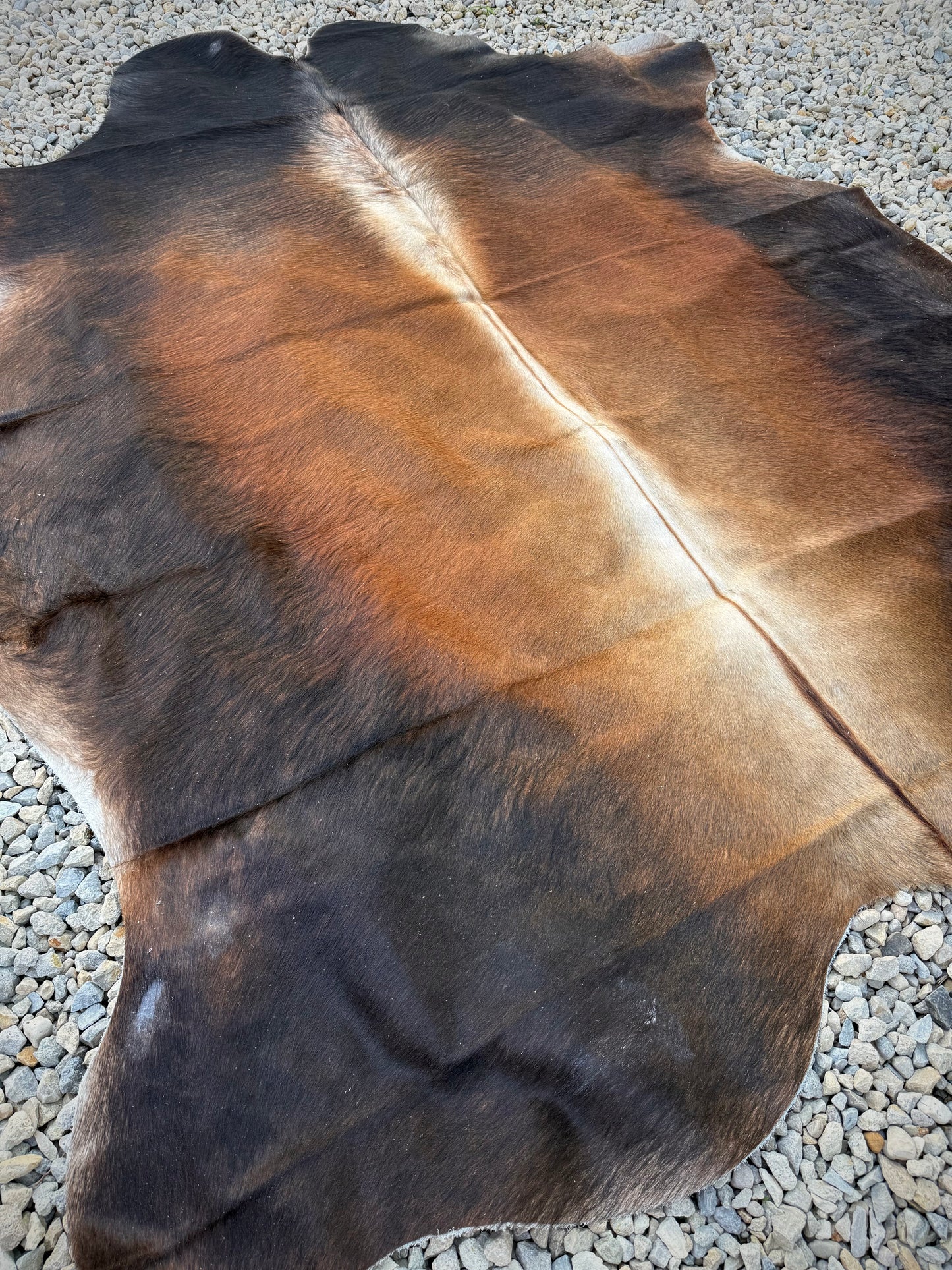 Jumbo Genuine Brown Cowhide Rug #7