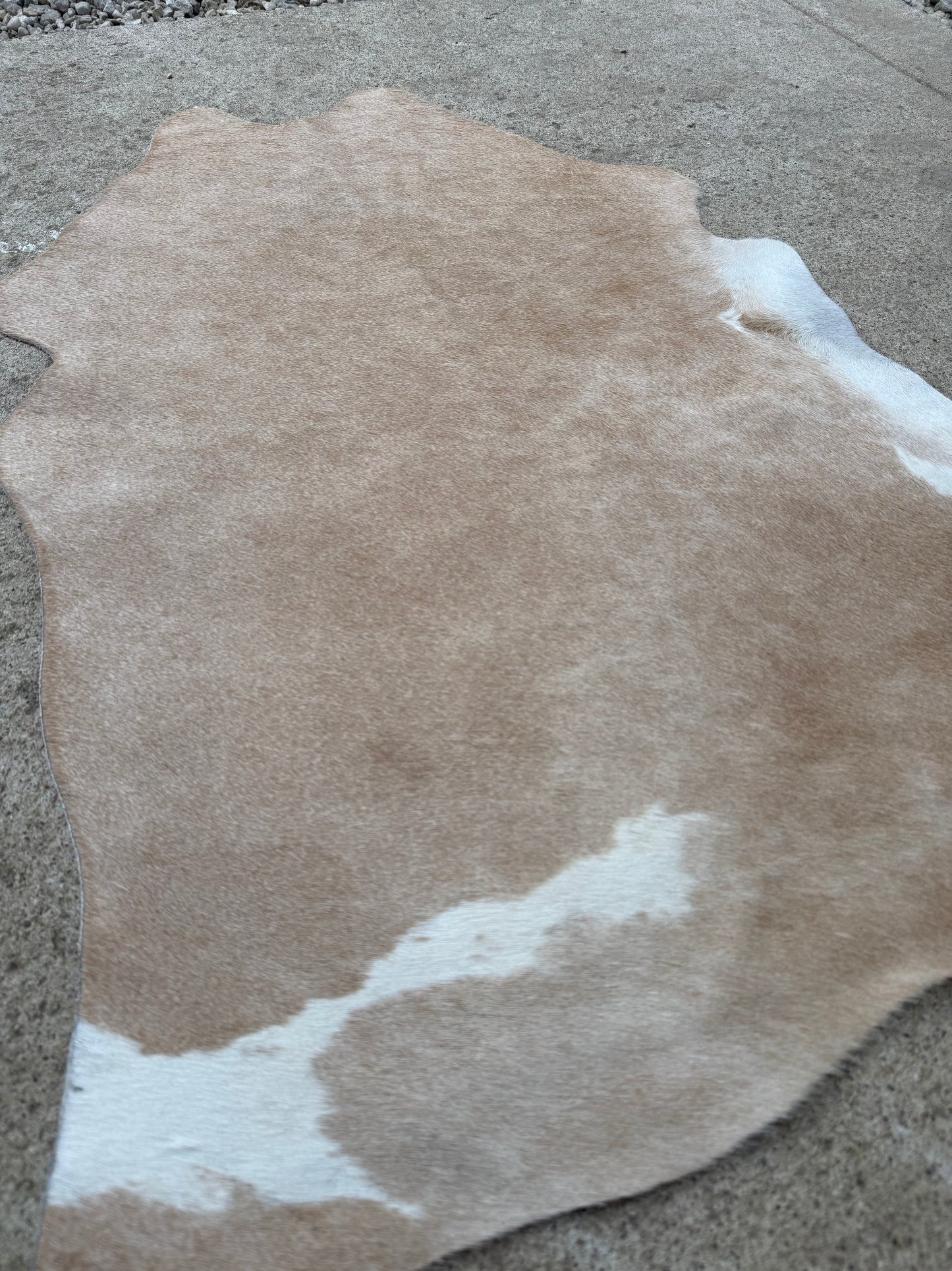 Light Brown Tan Genuine Cowhide Rug Approx. 3 ft