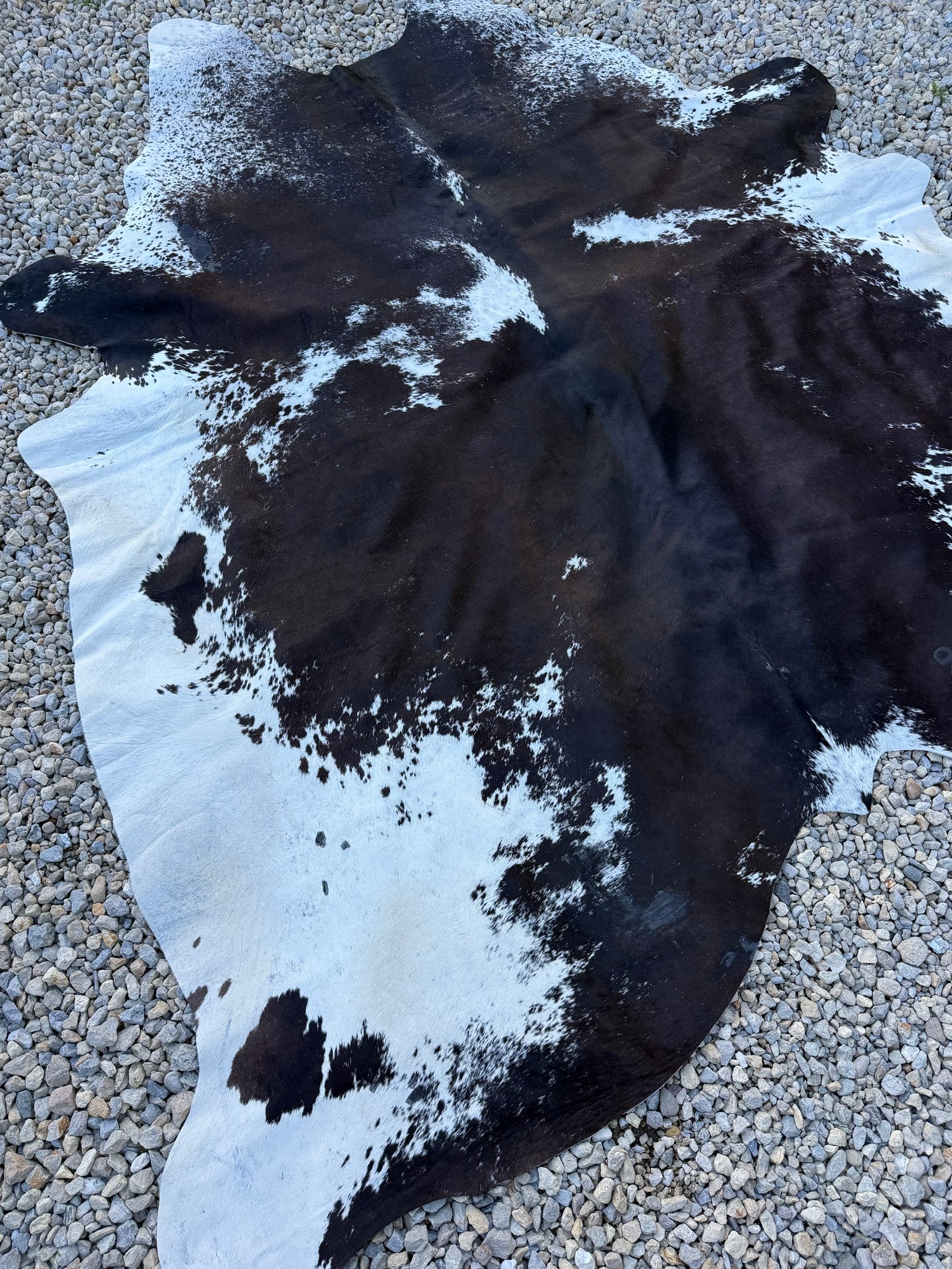 Jumbo Genuine Brown Cowhide Rug #12