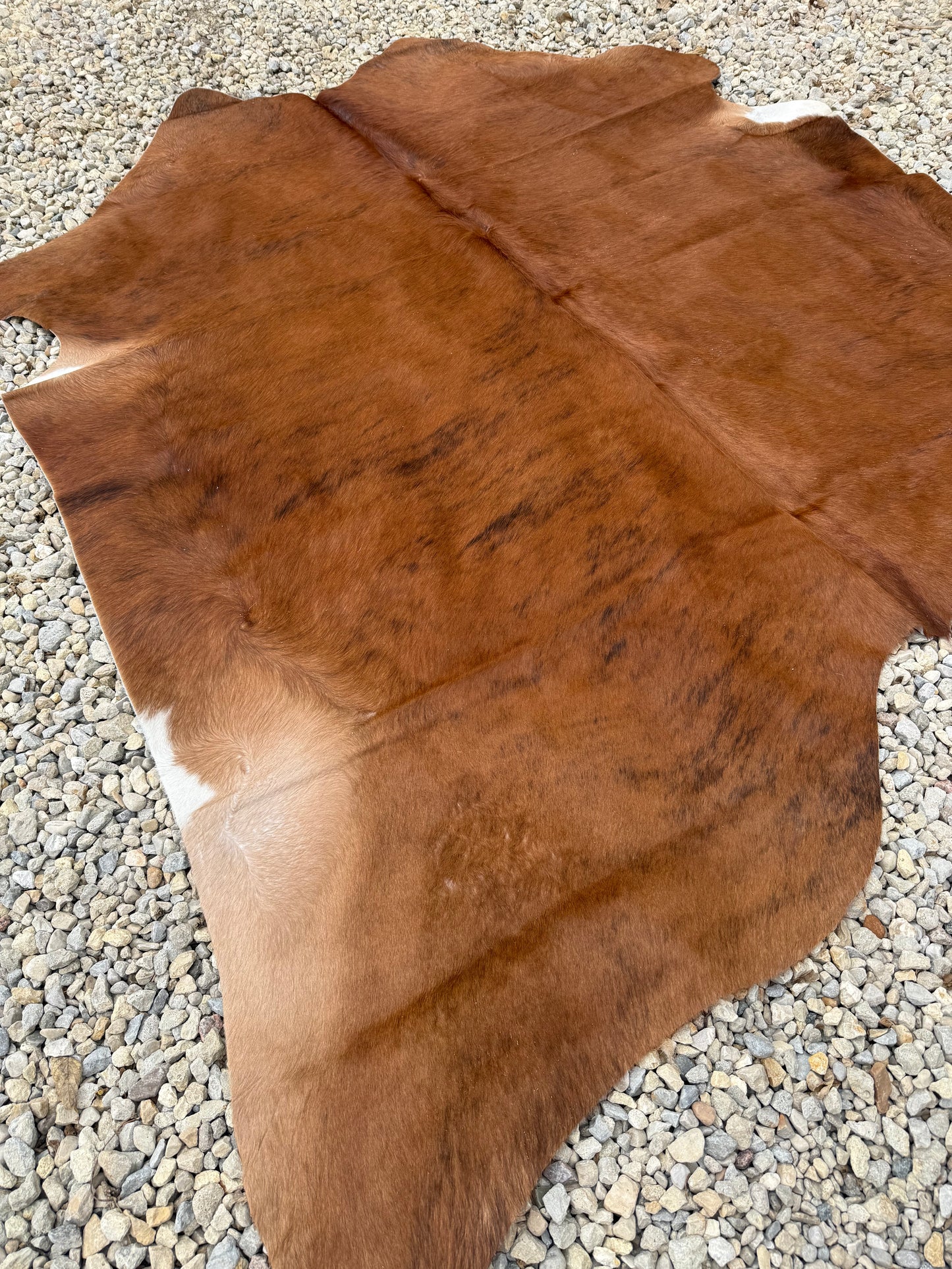 Light Brown Brindle Genuine Jumbo Cowhide Rug #29