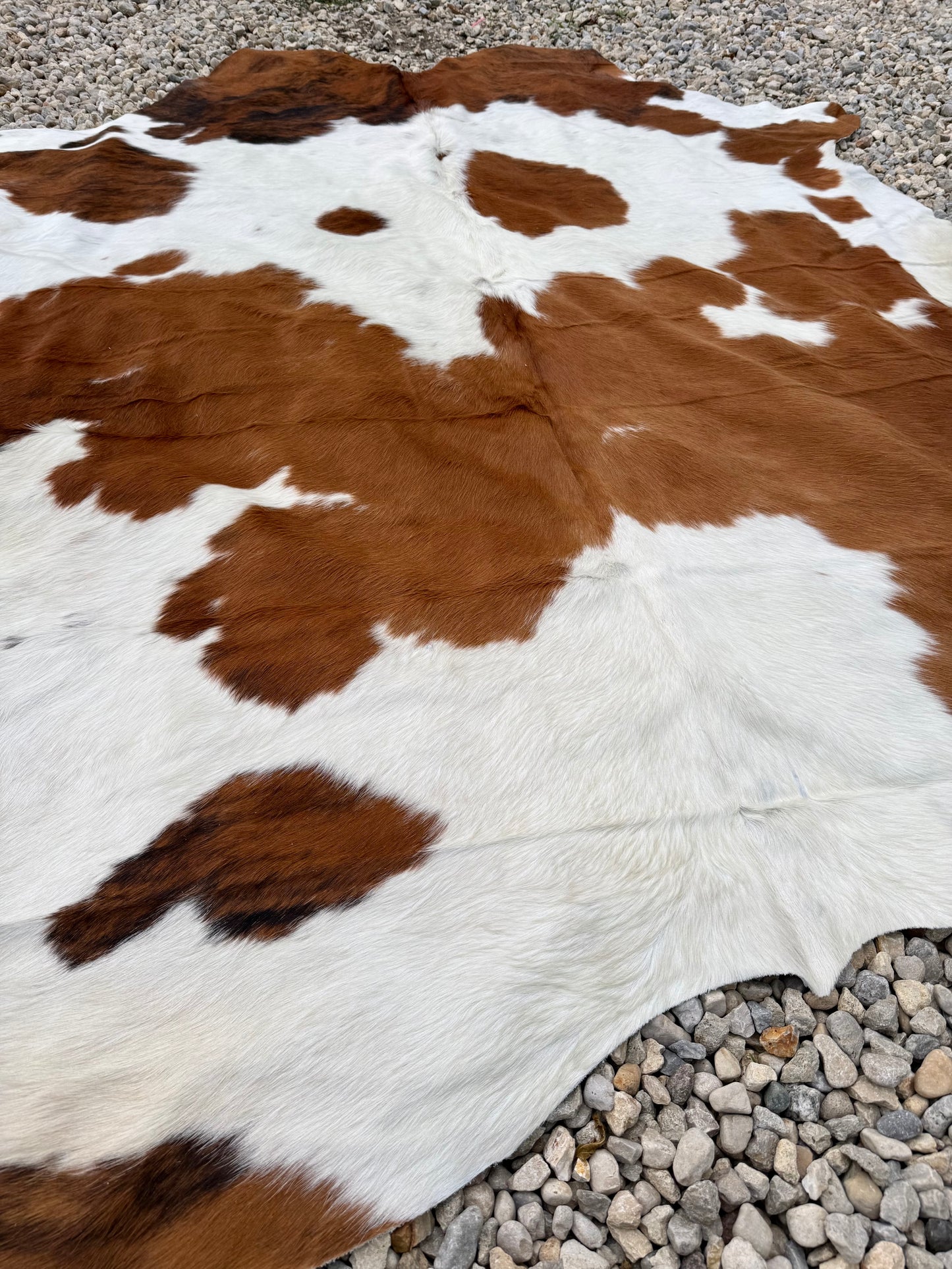 Jumbo Genuine Brown And White Cowhide Rug #1