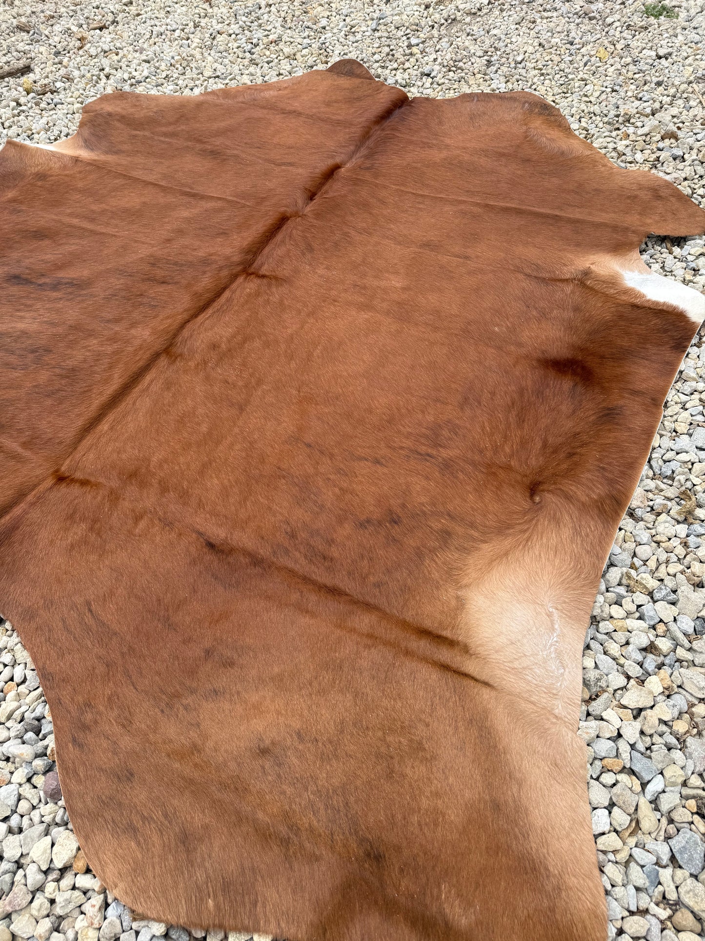 Light Brown Brindle Genuine Jumbo Cowhide Rug #29