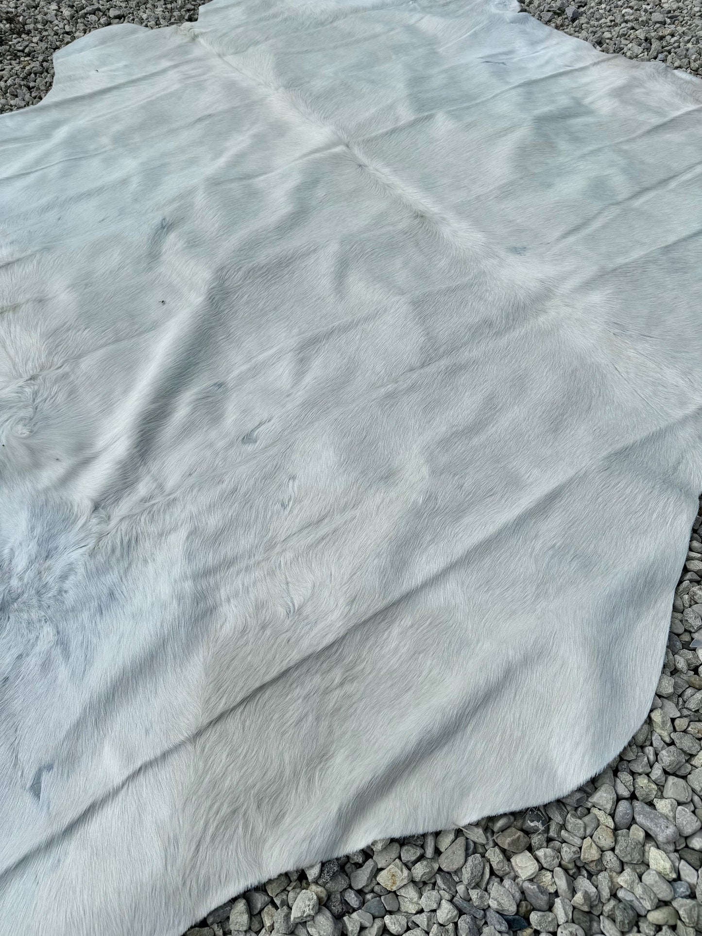 Jumbo All White Special Genuine Cowhide Rug #19