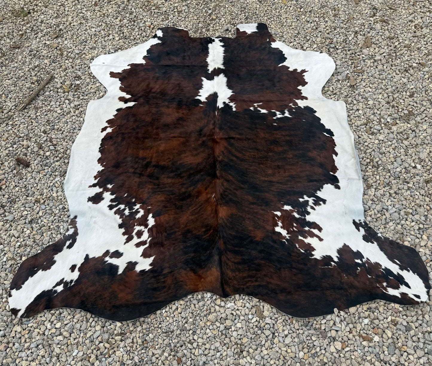 Tri Color Brindle Genuine Jumbo Cowhide Rug #28