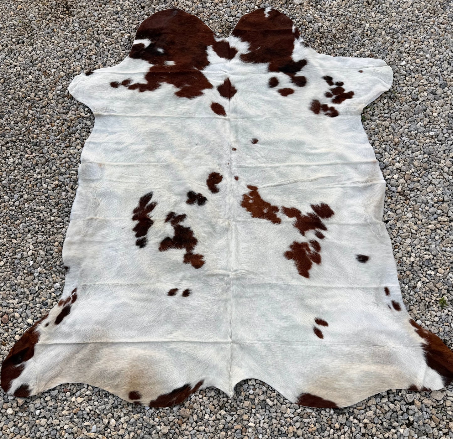 Jumbo Genuine Brown Cowhide Rug #6