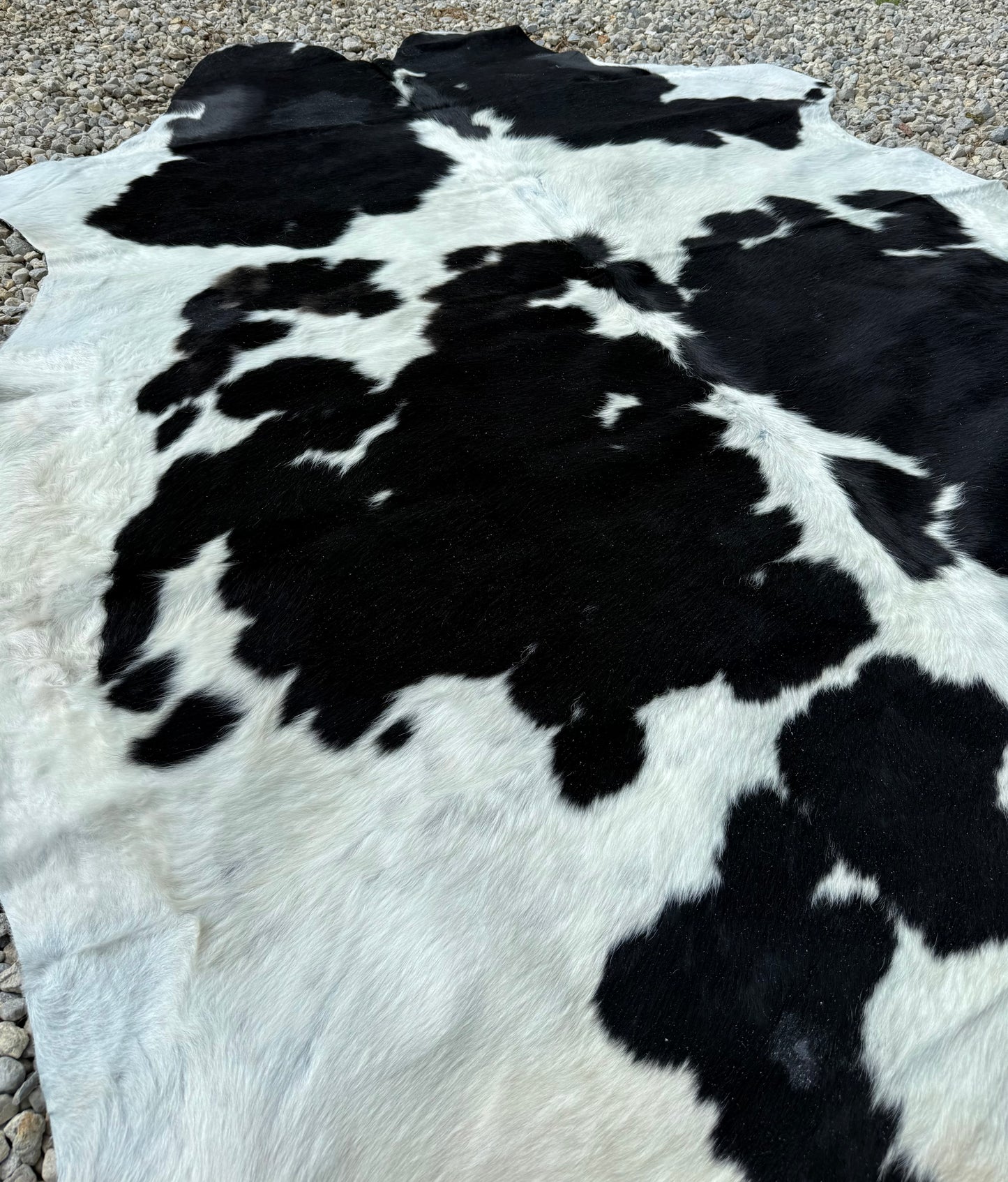 Jumbo Black & White Spotted Genuine Cowhide Rug #16