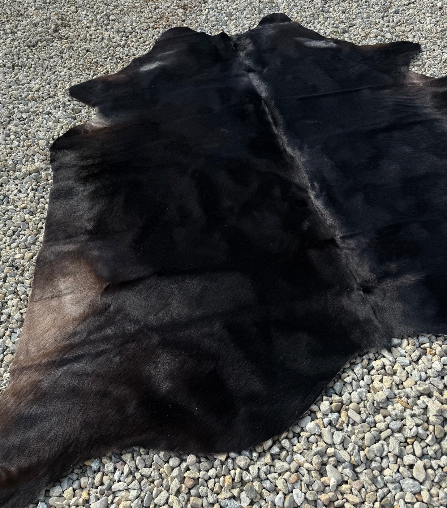 Jumbo Dark Black Brown Genuine Cowhide Rug #22