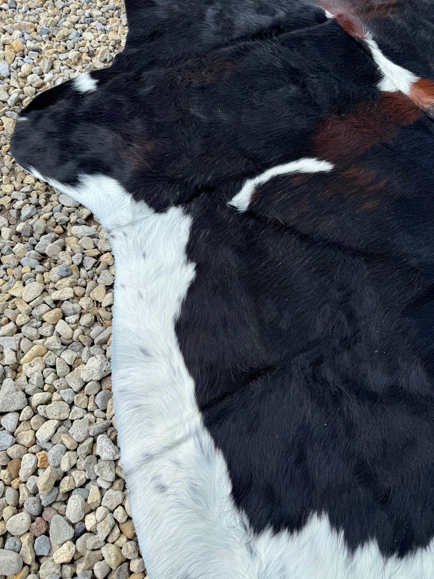 Jumbo Black White & Brown Spotted Genuine Cowhide Rug #17