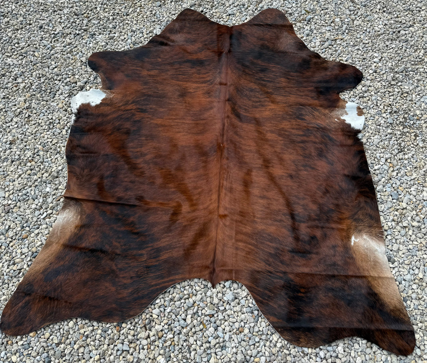 Jumbo Brown Brindle Genuine Cowhide Rug #18