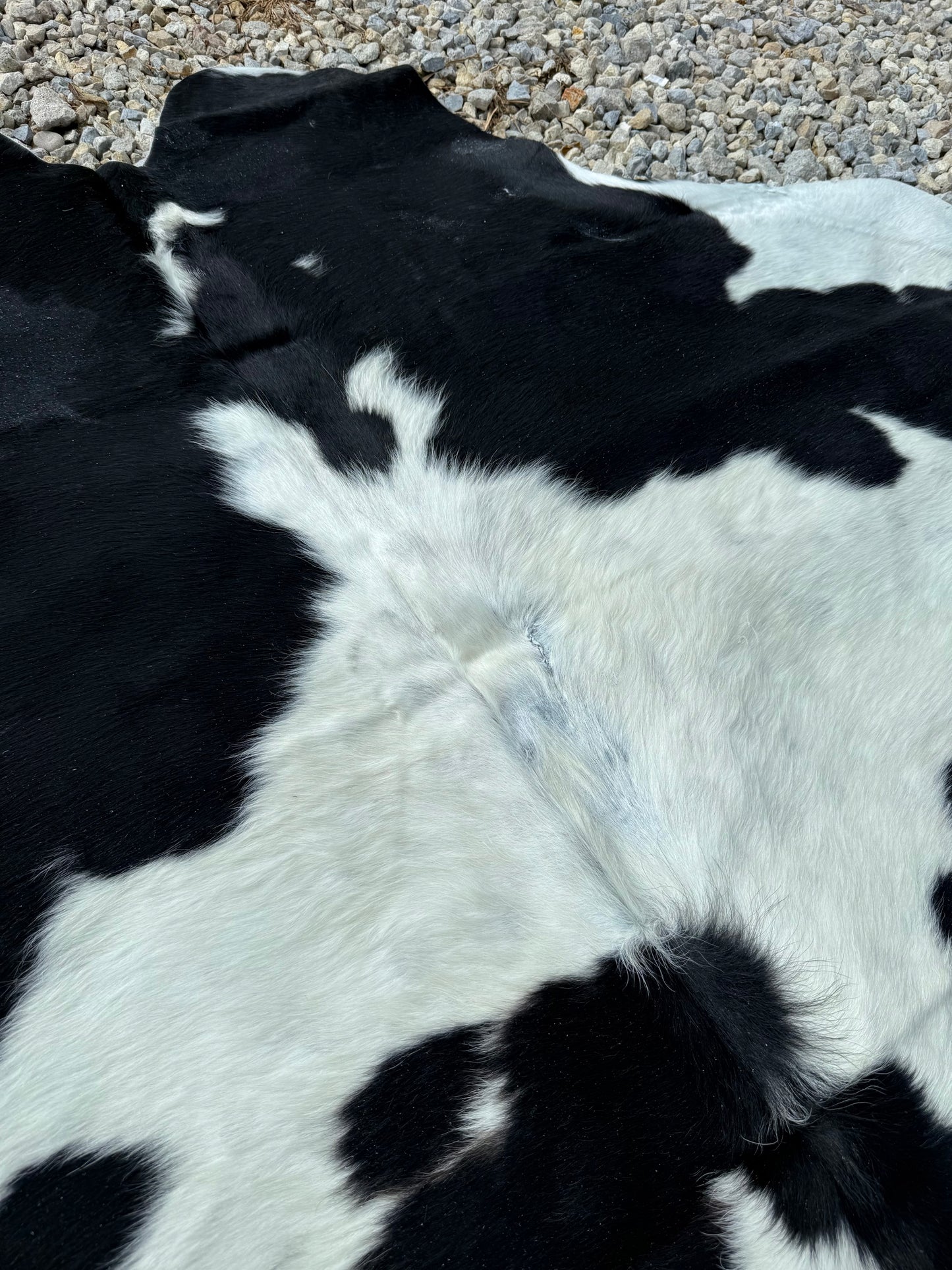Jumbo Black & White Spotted Genuine Cowhide Rug #16
