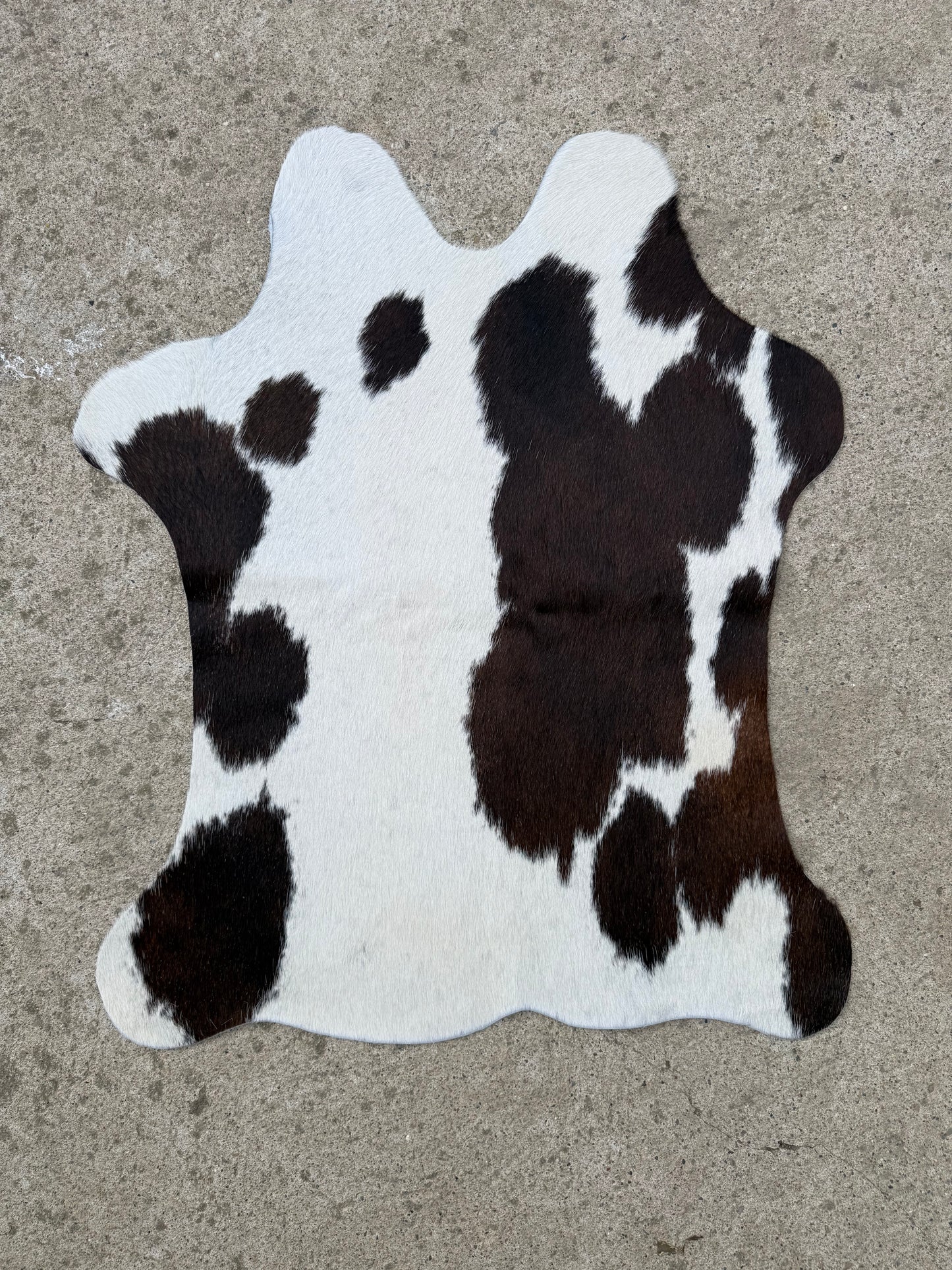 Black & White a Little Brown Spotted Genuine Cowhide Rug Approx. 2 ft