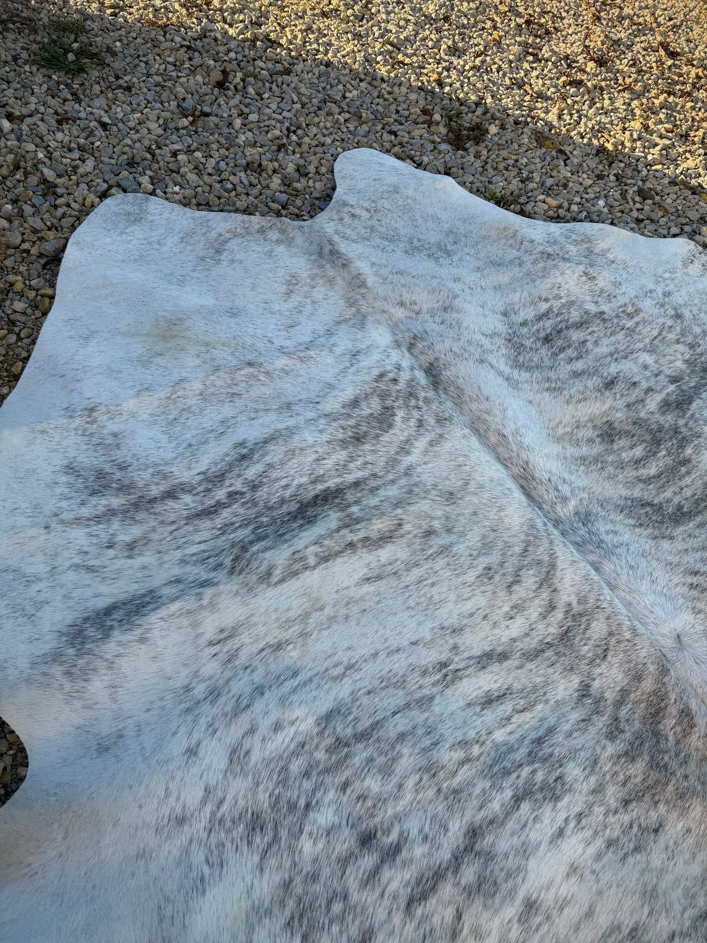 EXOTIC Gray Brindle Genuine Jumbo Cowhide Rug