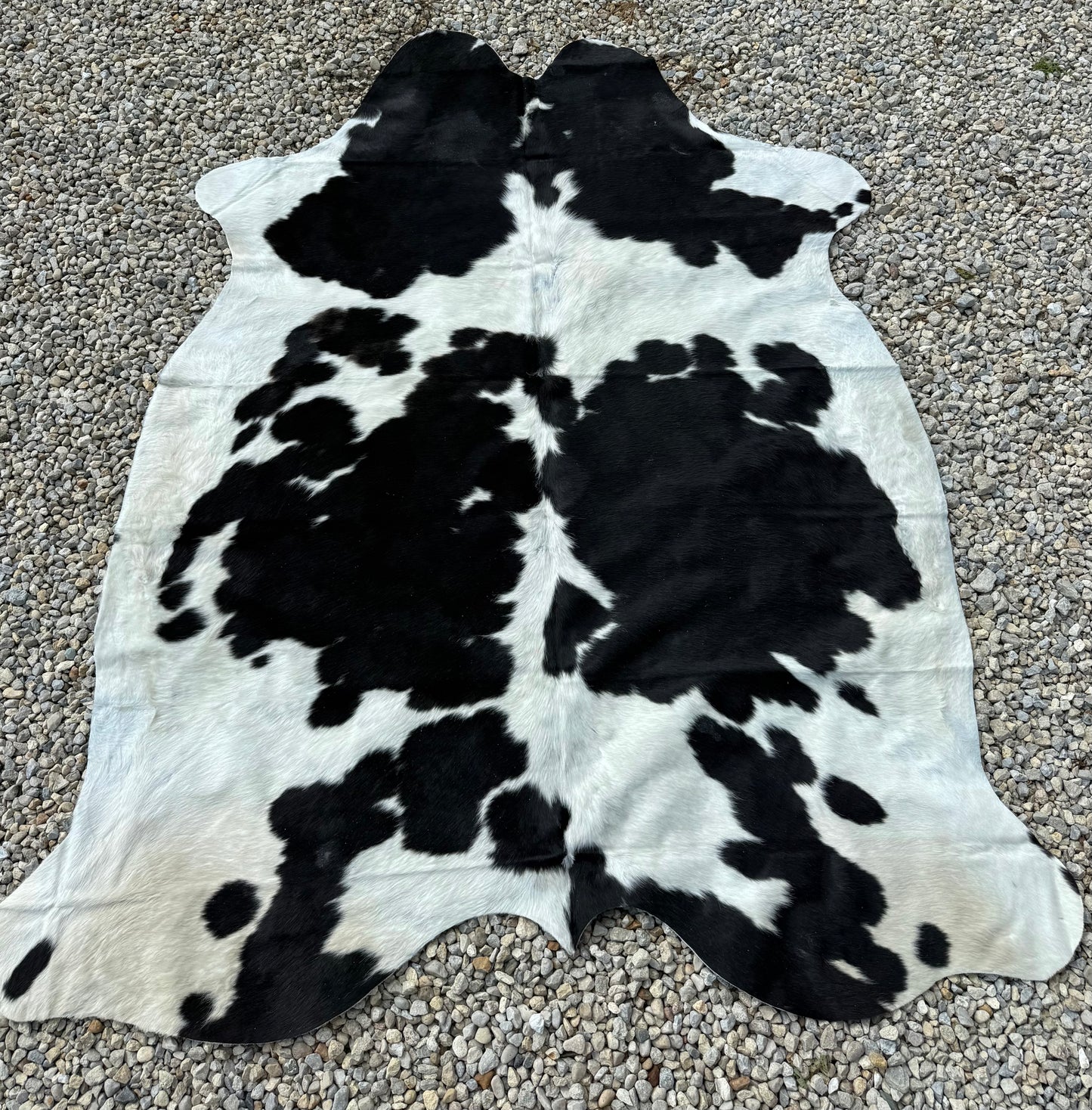 Jumbo Black & White Spotted Genuine Cowhide Rug #16