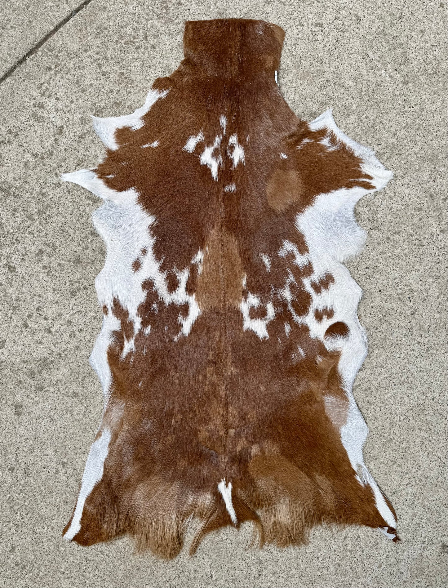 Genuine Goat Hide