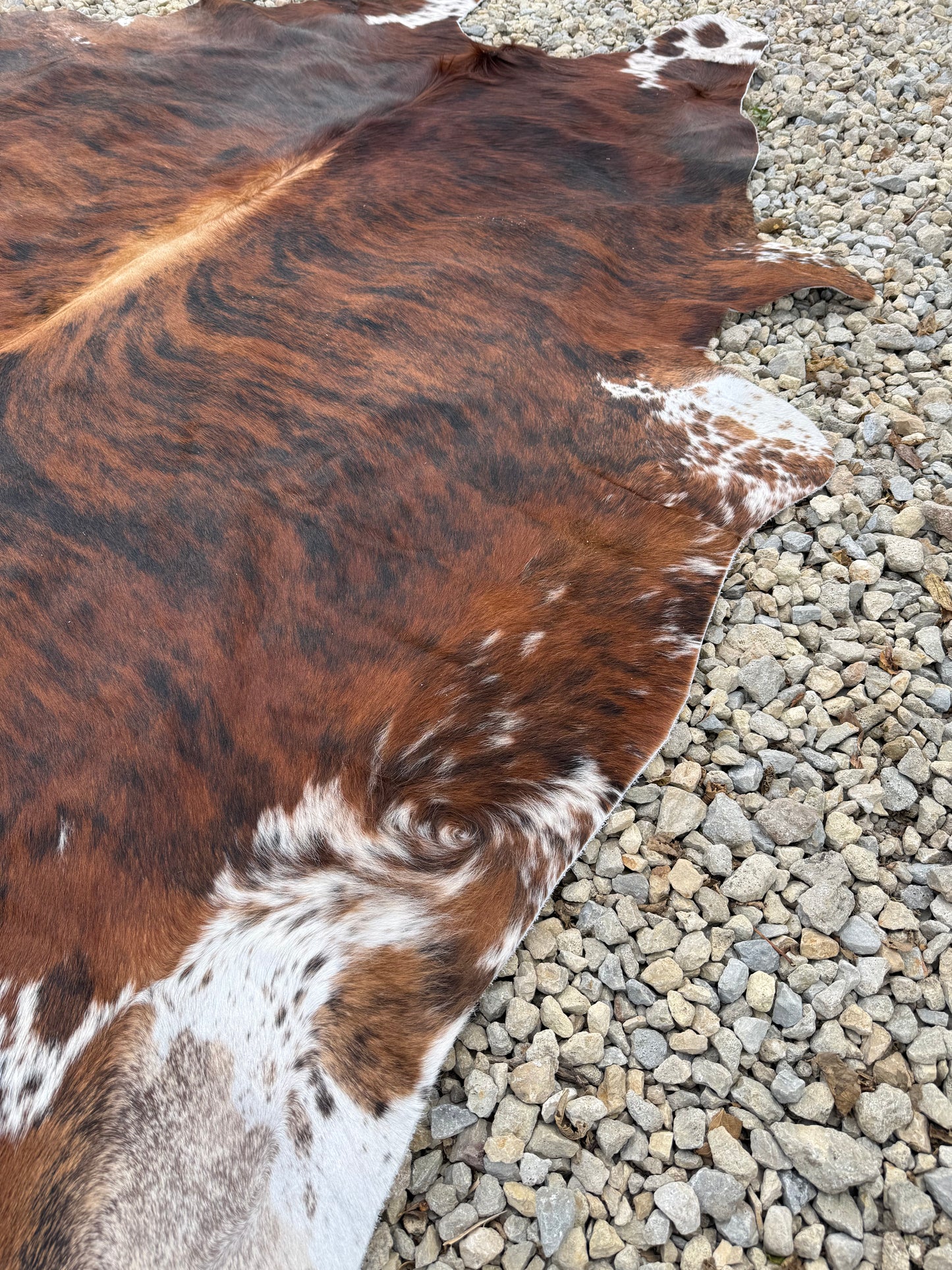 Tri-Color Spotted Genuine Jumbo Cowhide Rug #34
