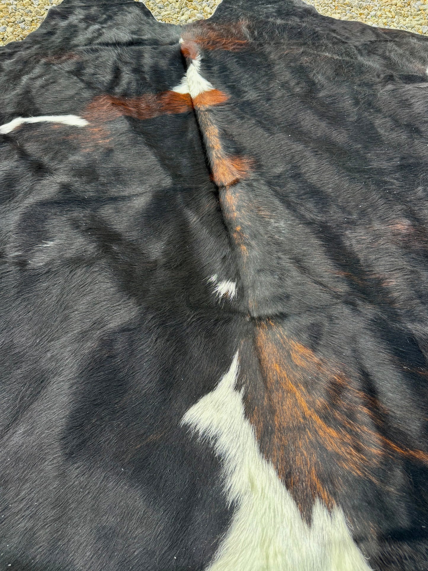 Jumbo Black White & Brown Spotted Genuine Cowhide Rug #17