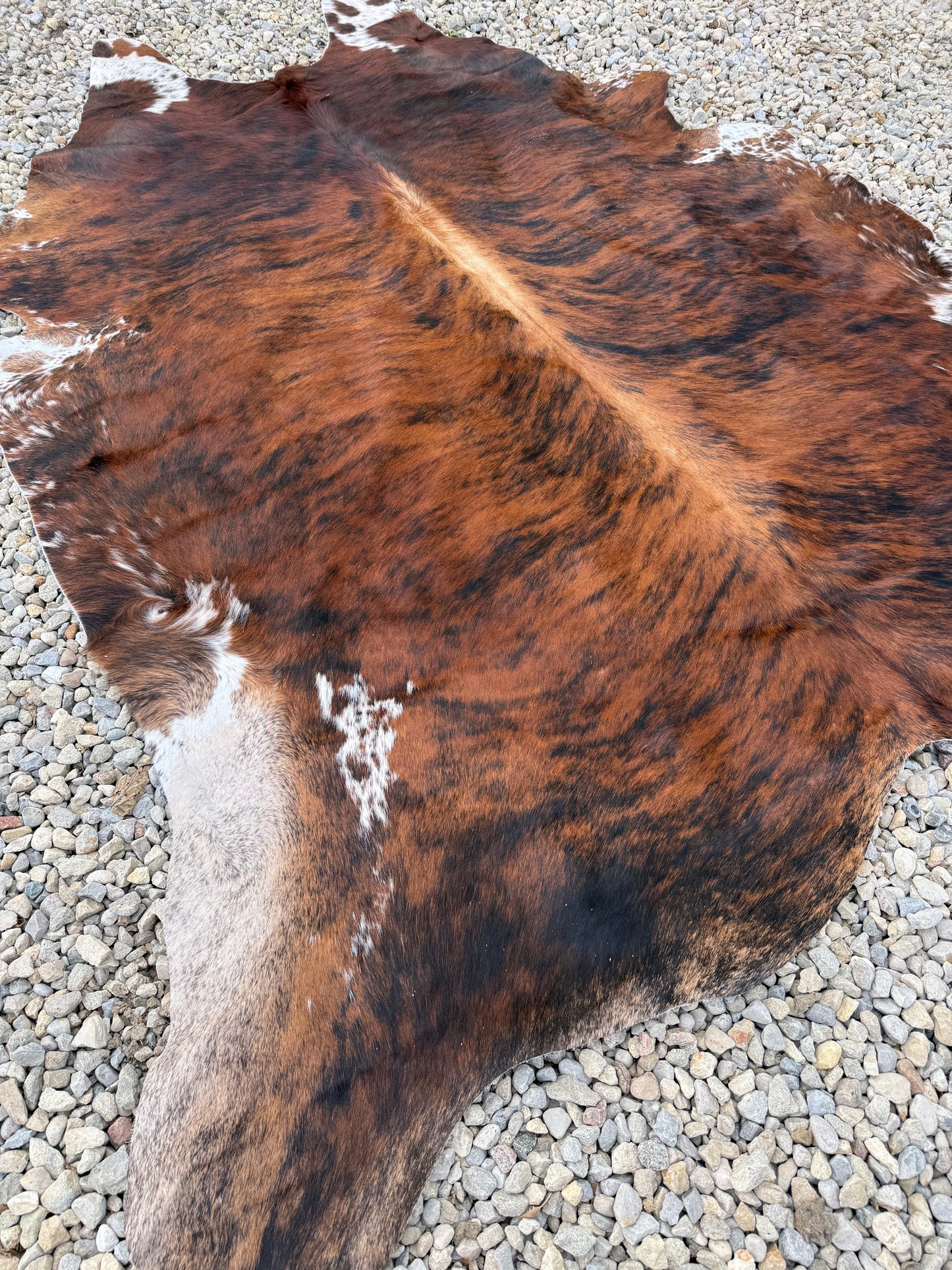 Tri-Color Spotted Genuine Jumbo Cowhide Rug #34