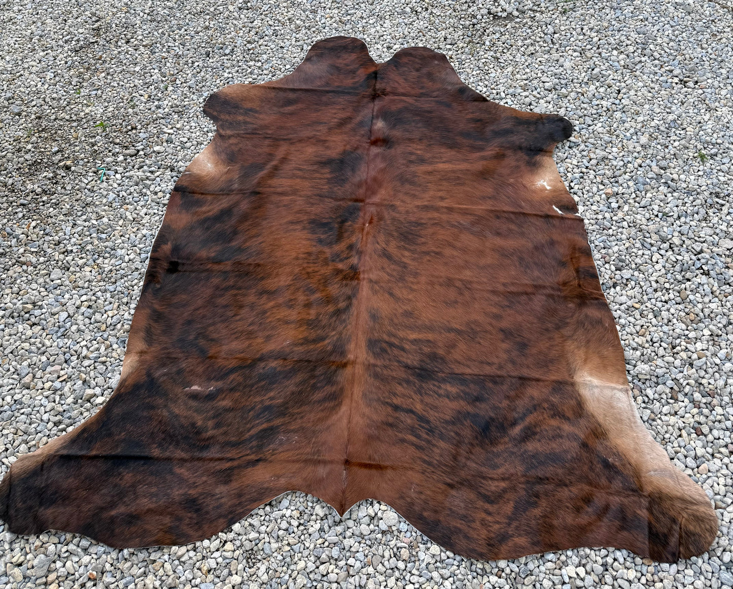 Jumbo Genuine Brown Cowhide Rug #9