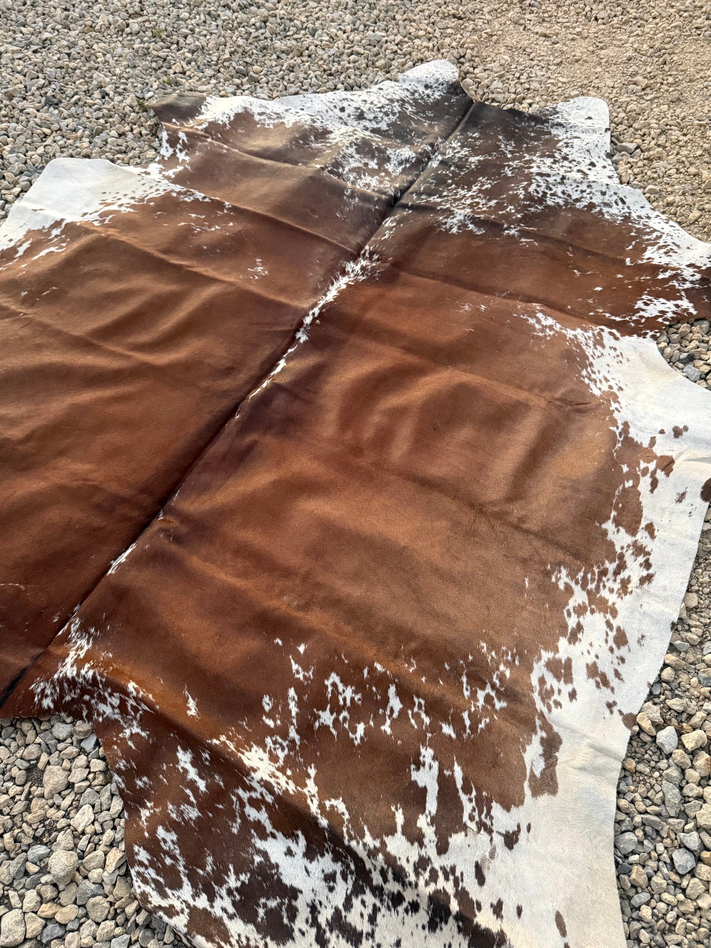 Speckled Brown Genuine Jumbo Cowhide Rug #24