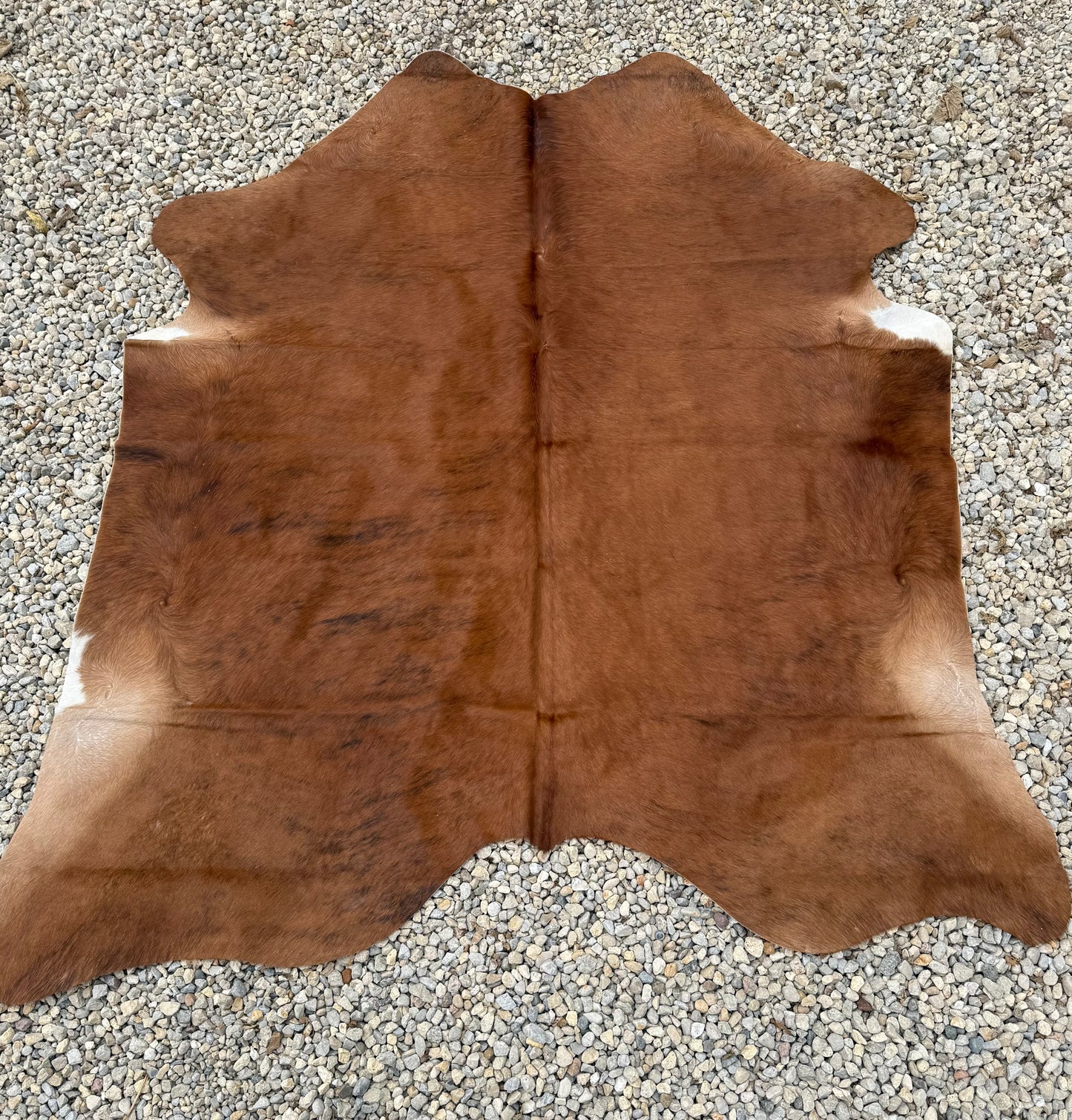 Light Brown Brindle Genuine Jumbo Cowhide Rug #29
