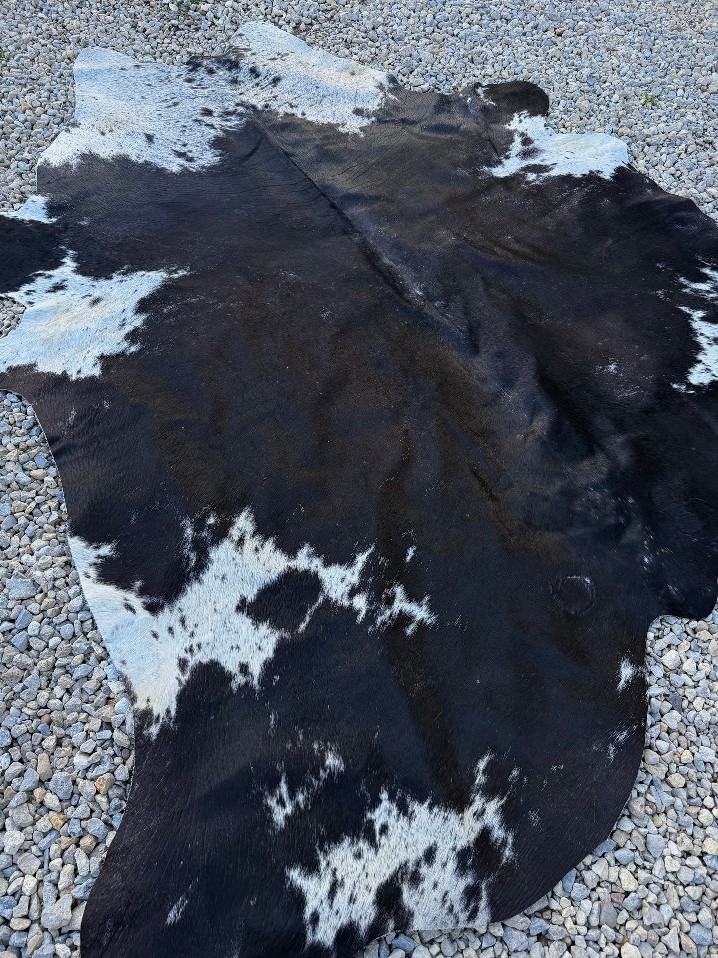 Jumbo Genuine Brown Cowhide Rug #11