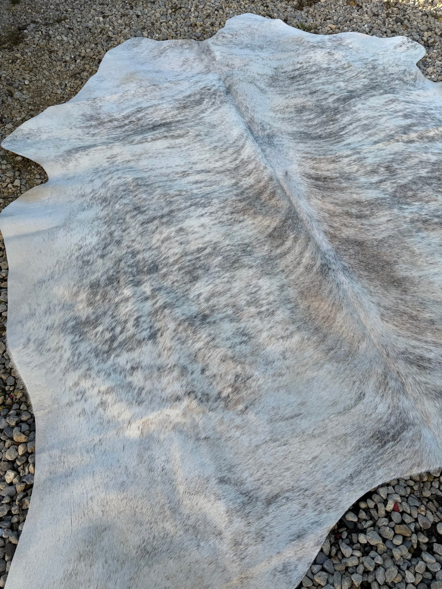EXOTIC Gray Brindle Genuine Jumbo Cowhide Rug